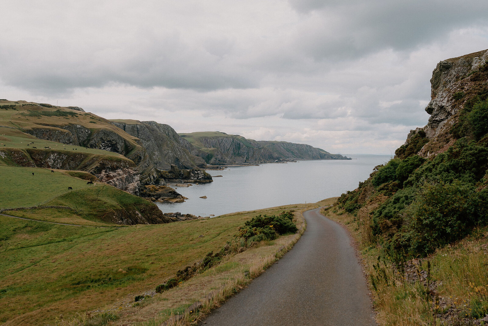 A narrow road follows the curve of grassy cliffs above a calm bay, gorse bushes lining the verge.