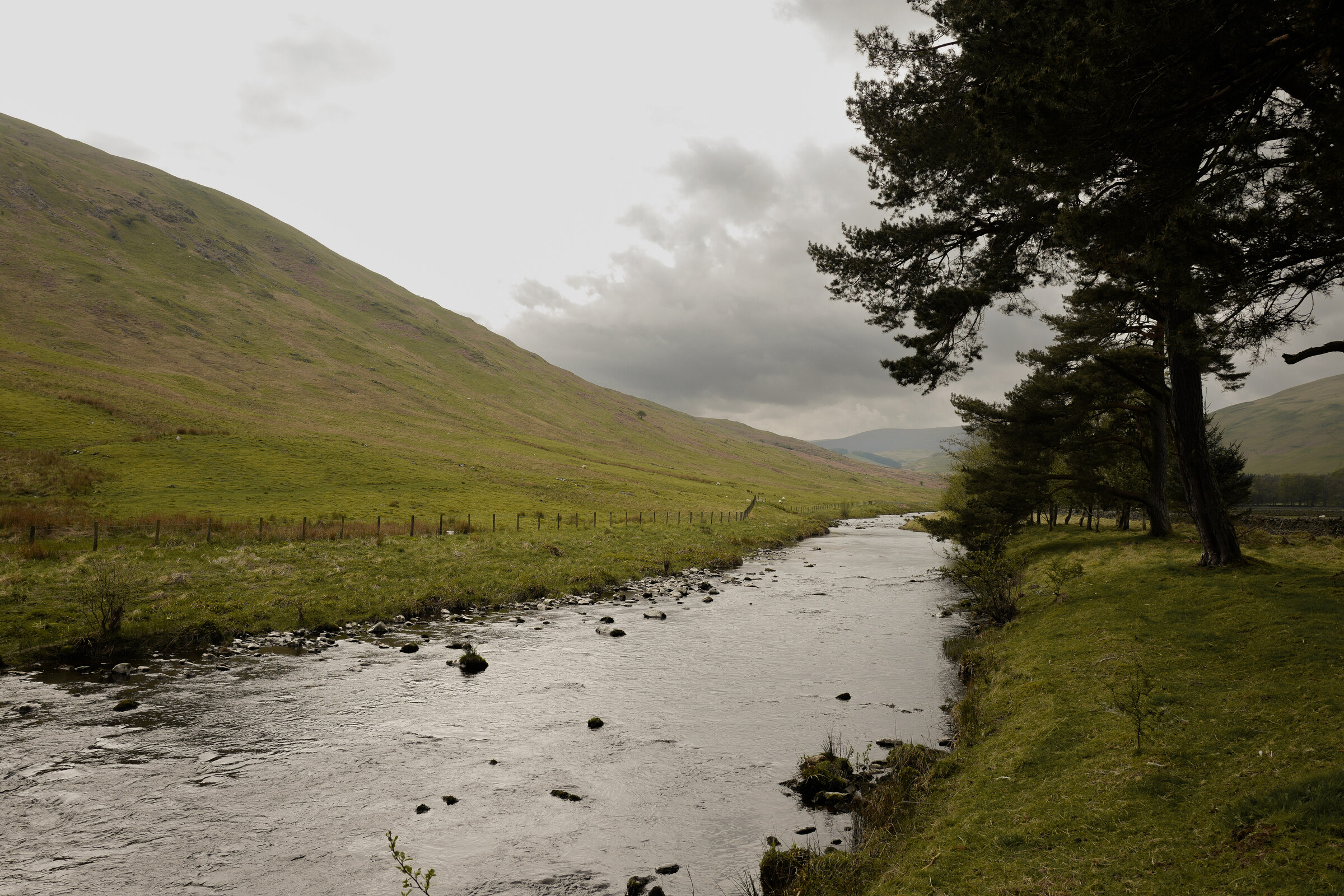 A shallow river running over stones between bare green hills, a Scots pine dark on the bank.