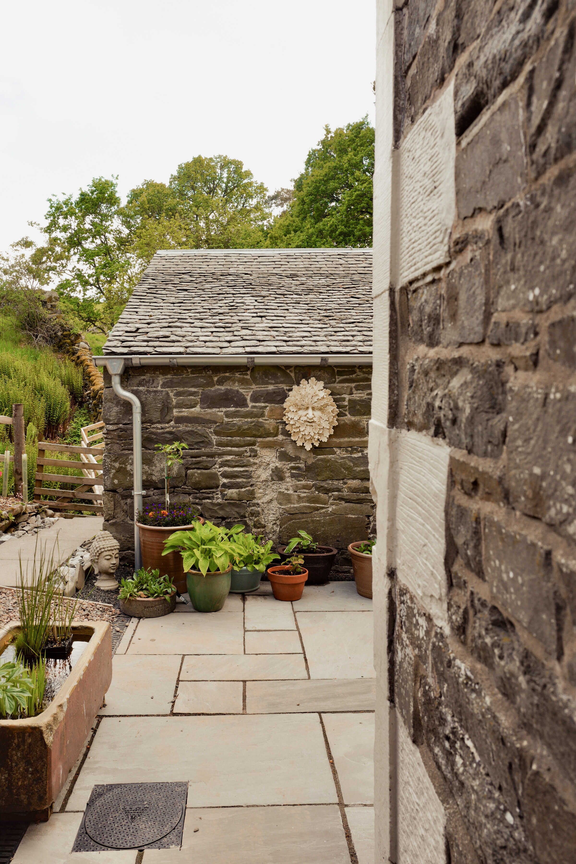 The paved courtyard between the farmhouse and The Scullery, pots of hostas along the stone wall and trees above.