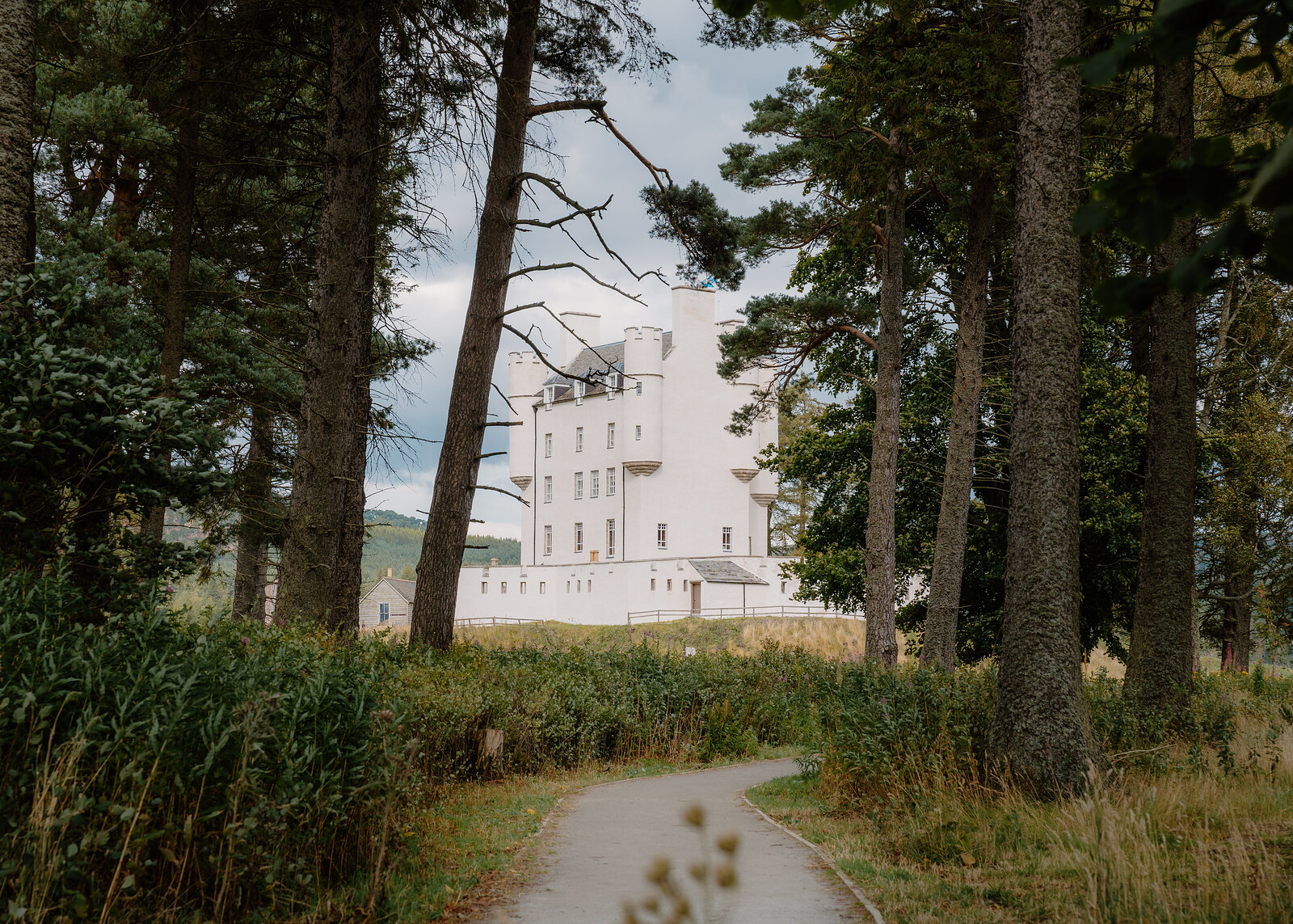 Braemar Castle, a white harled tower house, seen through tall pine trunks with a narrow path curving through grass towards it.