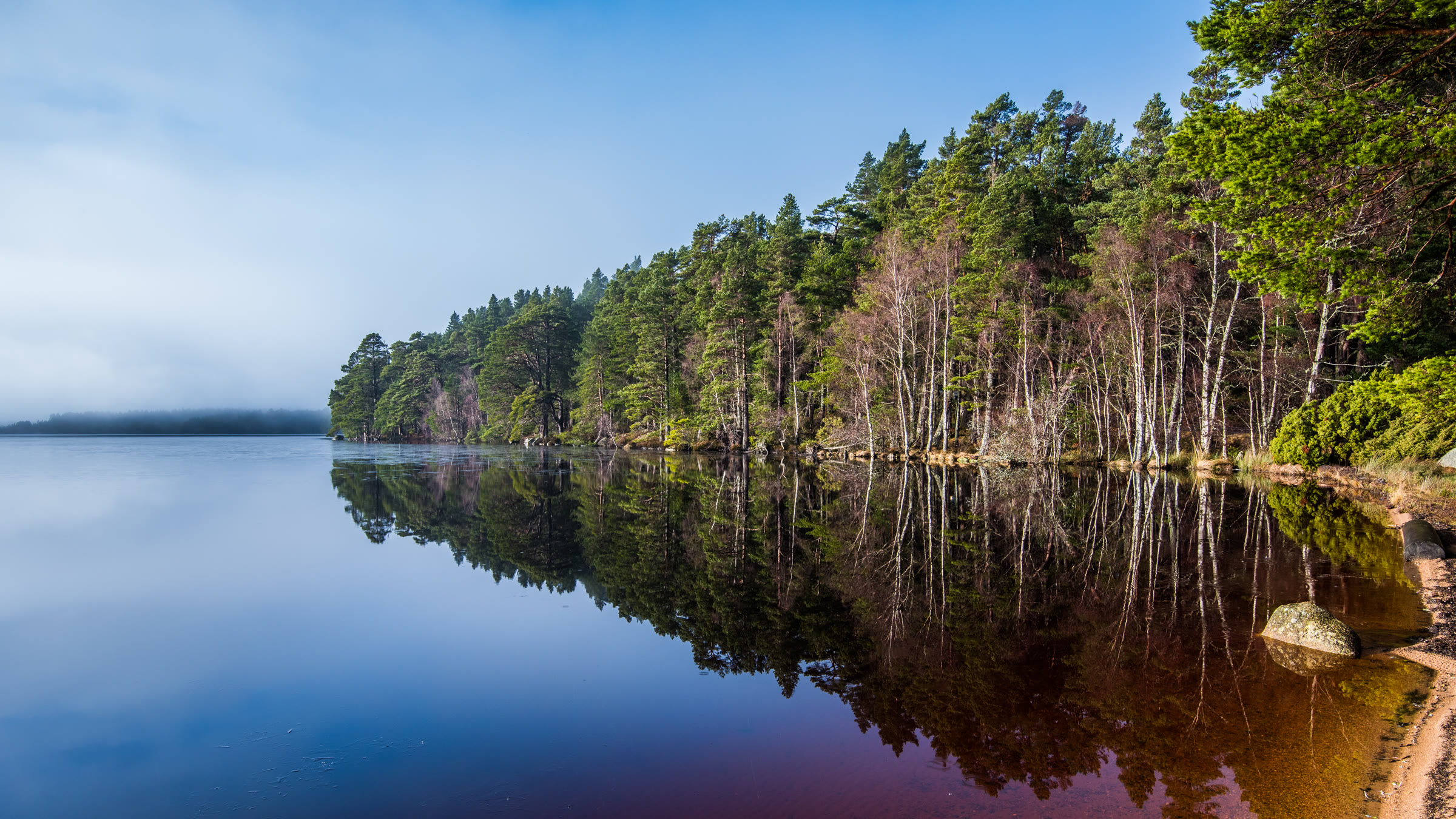 Ospreys, Castle Roy and the old forest at Loch Garten
