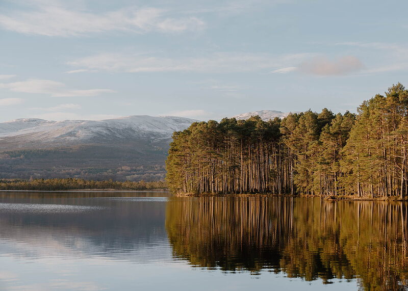 Loch Garten Nature Reserve