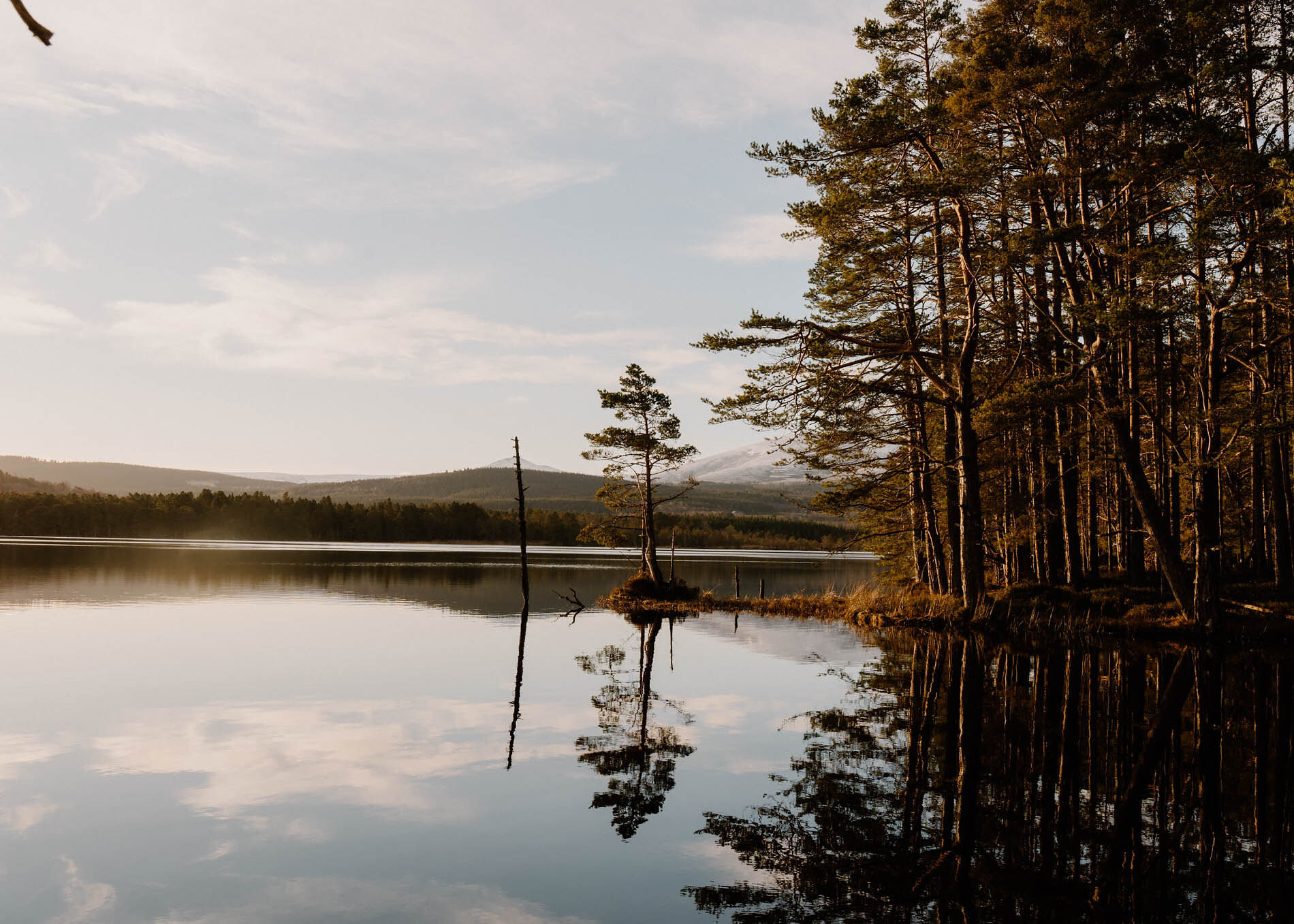 The Two Lochs Trail at Loch Garten, round to Loch Mallachie