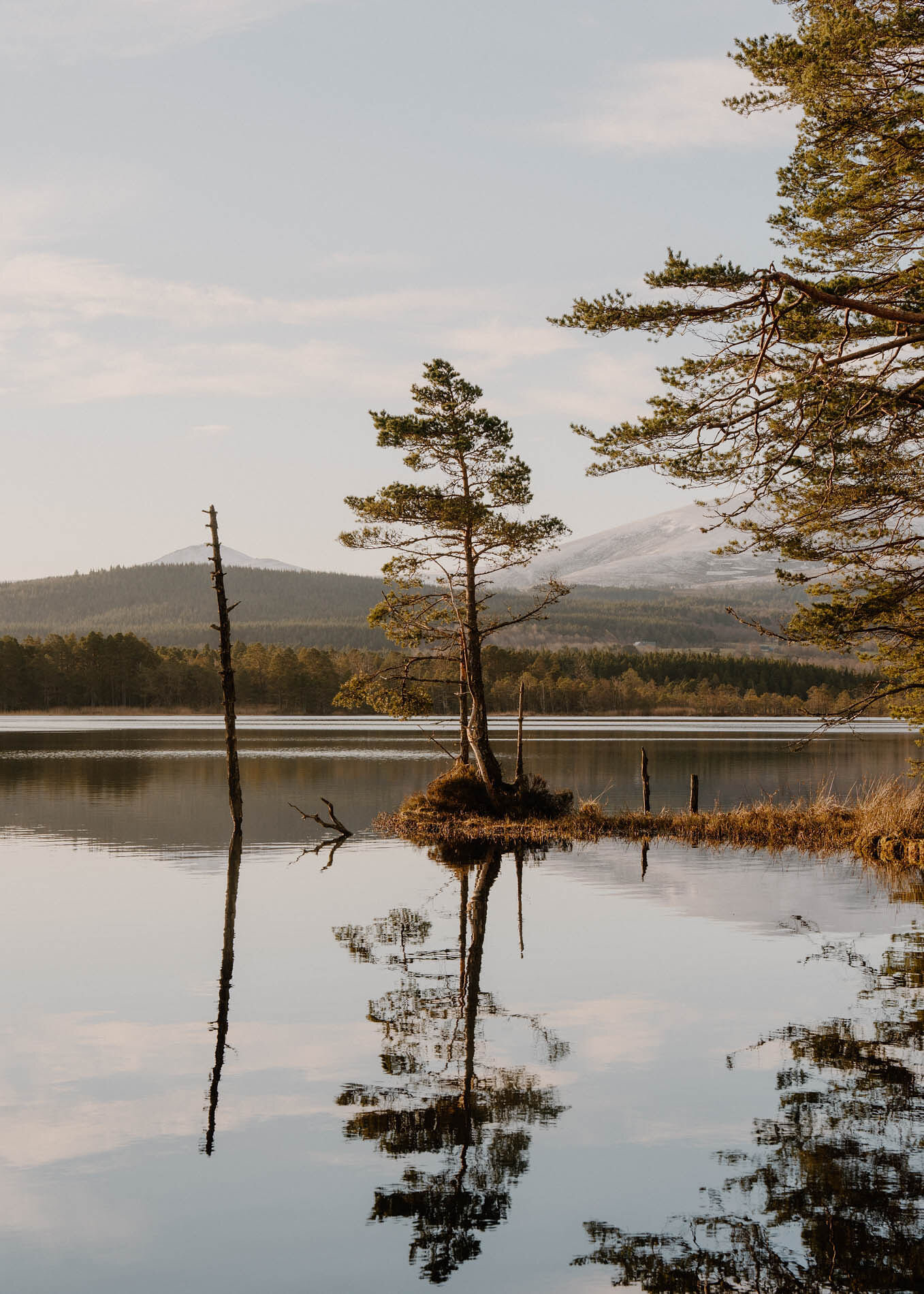 The lone pine on its islet and the bare dead trunk beside it, reflected in still water, hills behind.