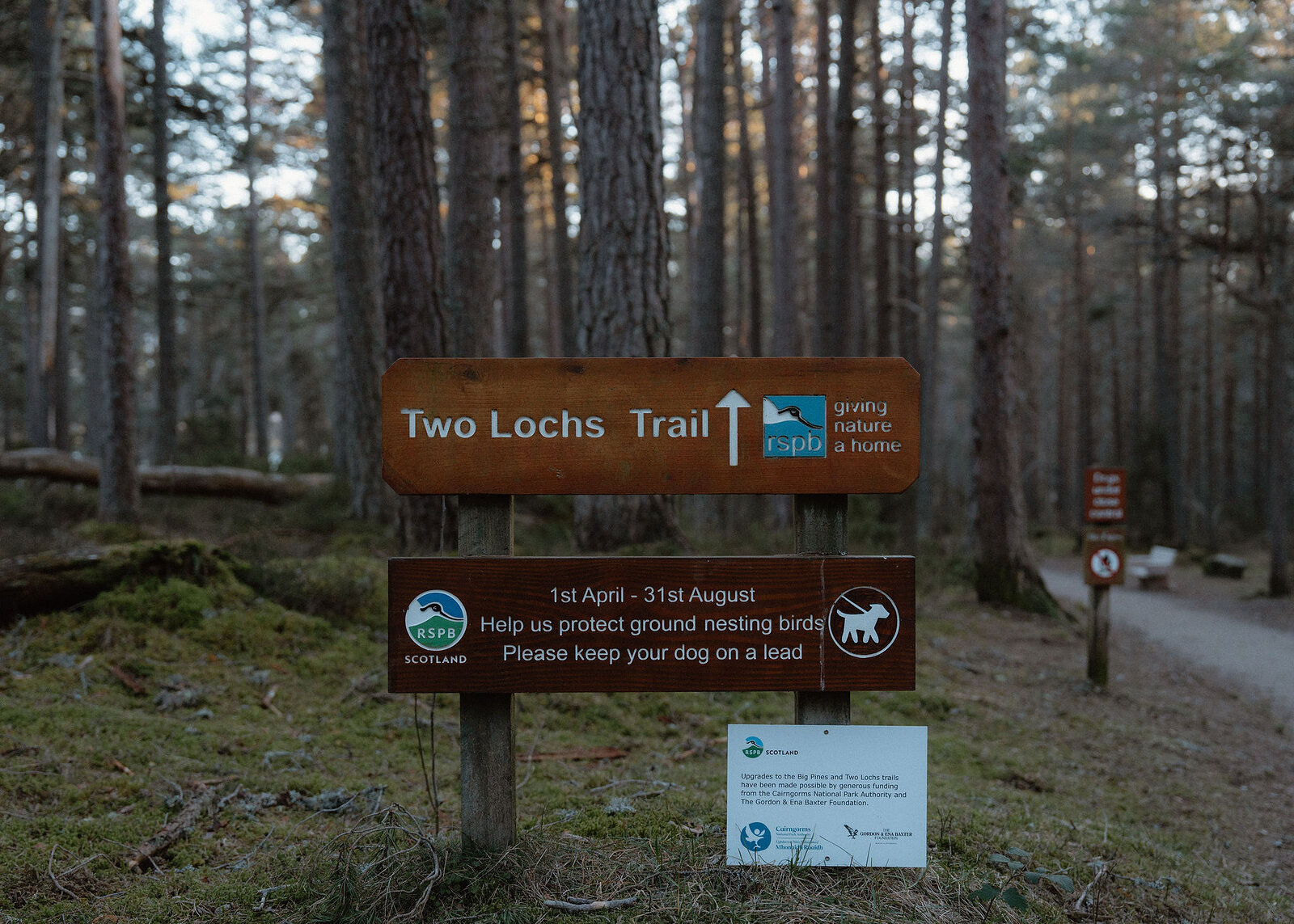 The RSPB's Two Lochs Trail signpost in the pinewood, with a notice asking for dogs on a lead from 1 April to 31 August to protect ground-nesting birds.