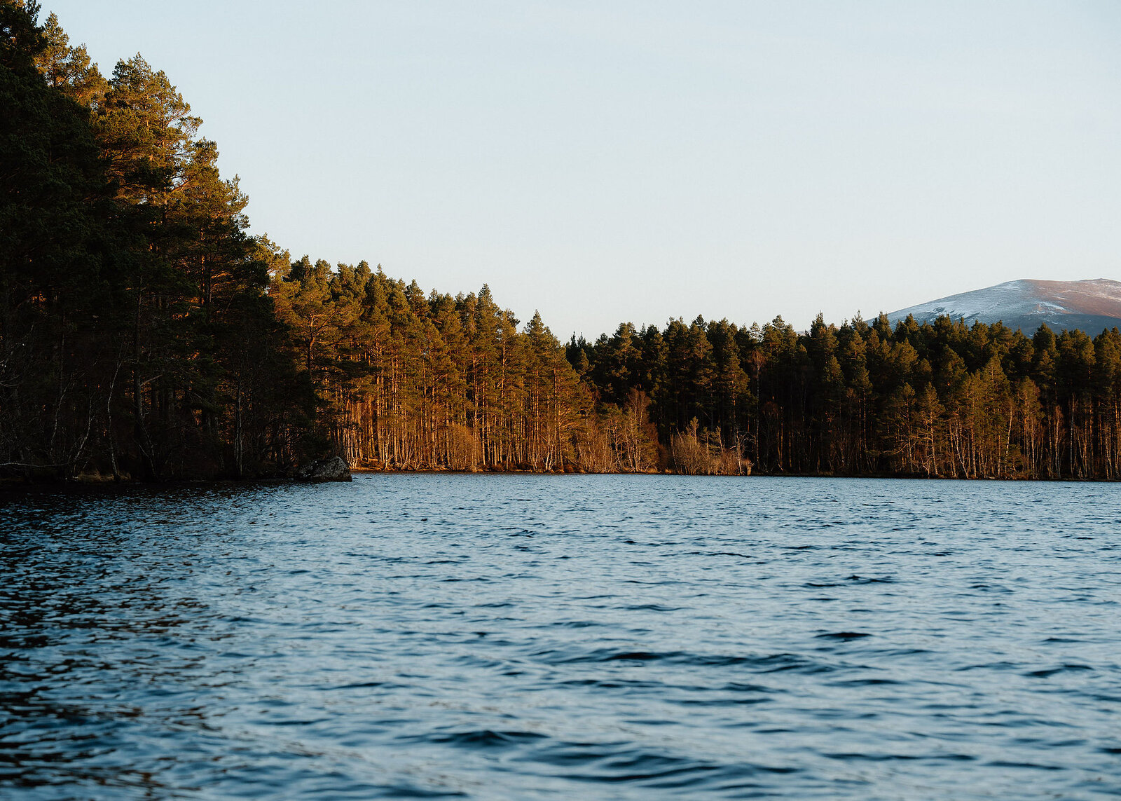 The forested shore glowing in evening light across rippled water, a snowy hilltop just showing.