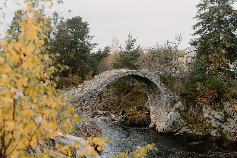 Landmark Forest Adventure Park and lunch in Carrbridge