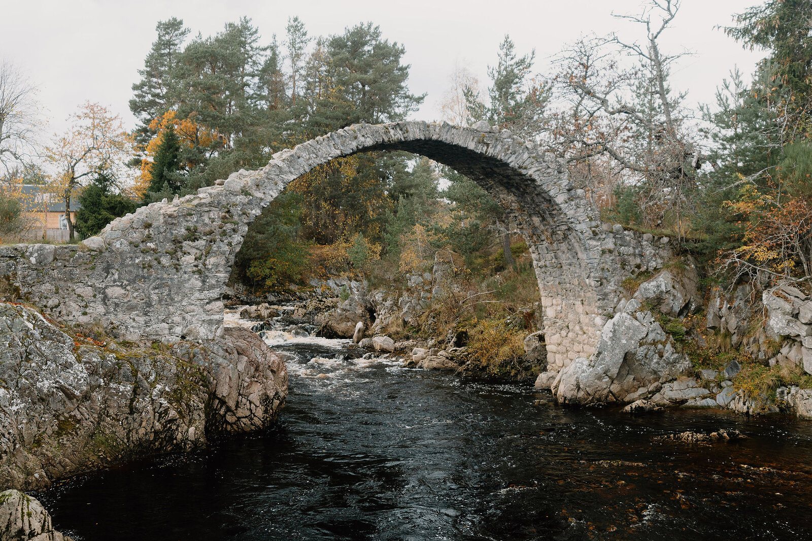 A stone humpback bridge arching over a river, seen through autumn birch branches with yellow leaves, mossy boulders in the foreground and pine trees behind.