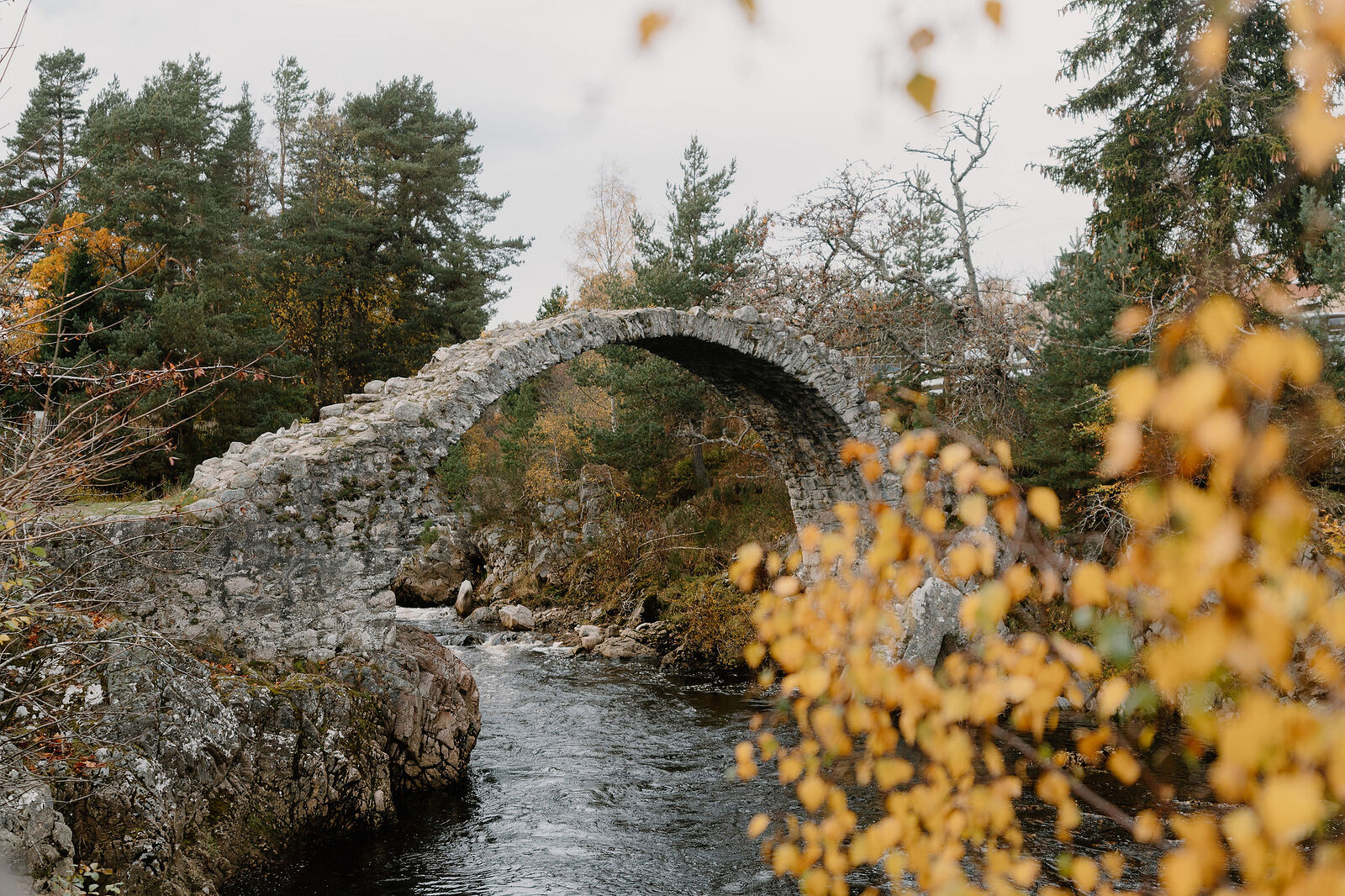 A stone humpback bridge over a river, seen past a spray of orange autumn leaves with pine and birch woodland crowding both banks.