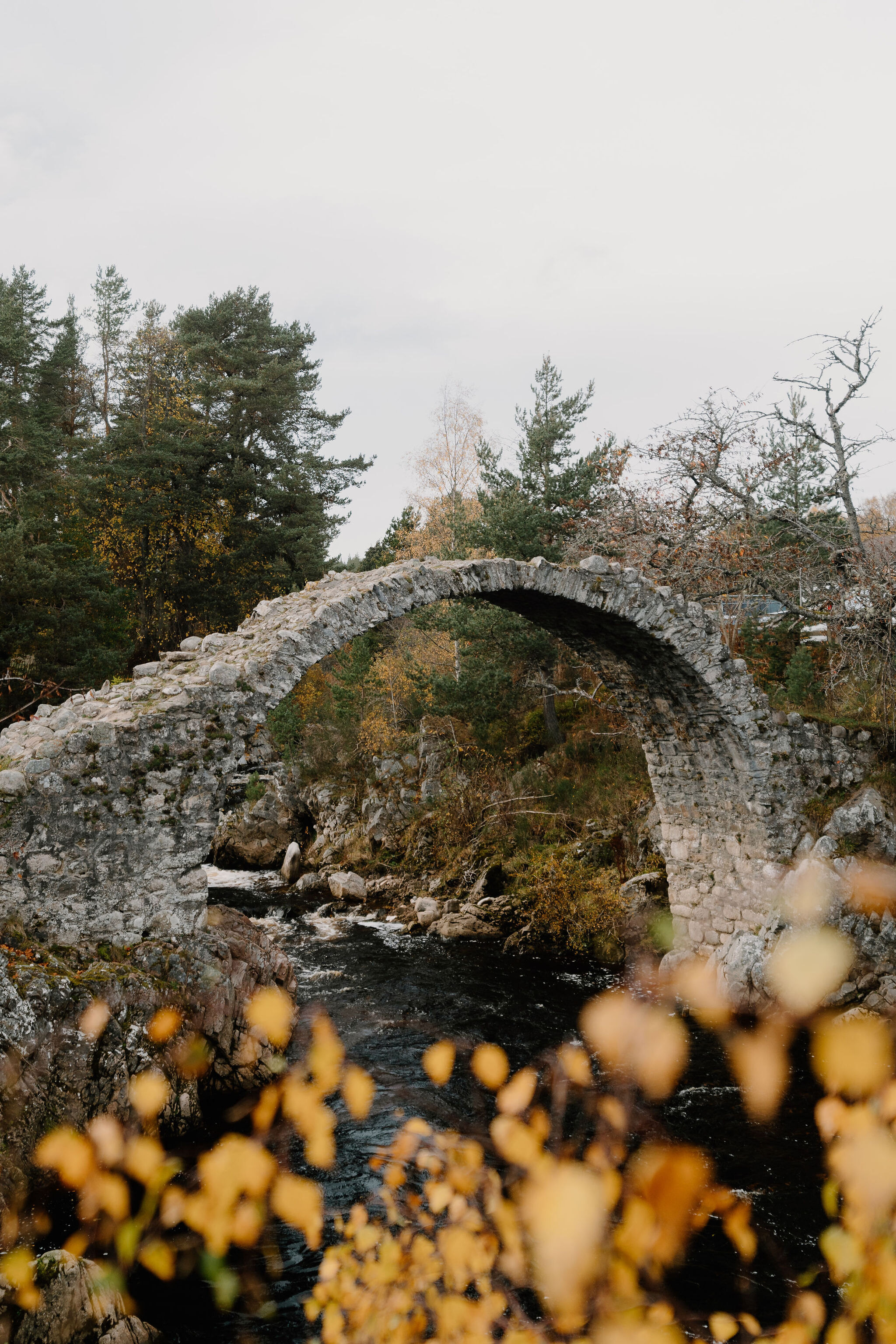 A stone humpback bridge crossing a river, banked by autumn woodland with a bare tree standing pale against the sky beyond.
