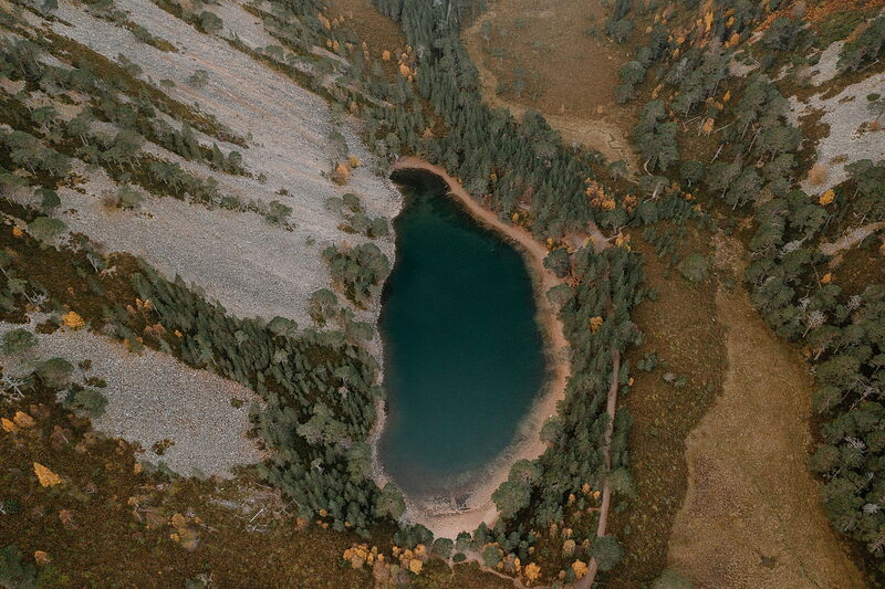 Loch Garten's red squirrels and old pinewood