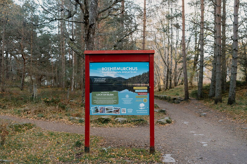The Zip Trek at Alvie