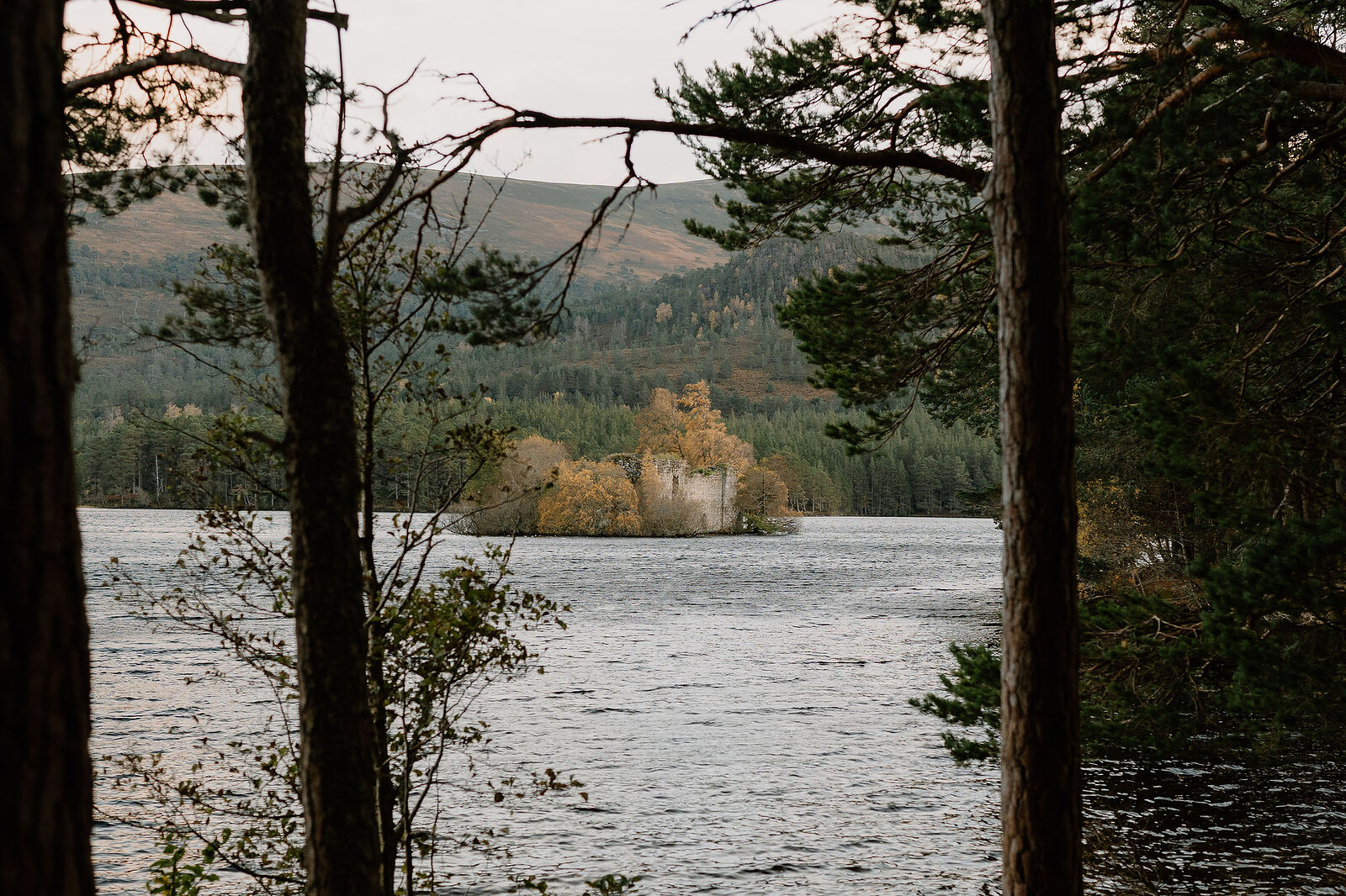 A ruined castle on a small island rises above autumn trees, seen across the still water of a loch through pine branches.
