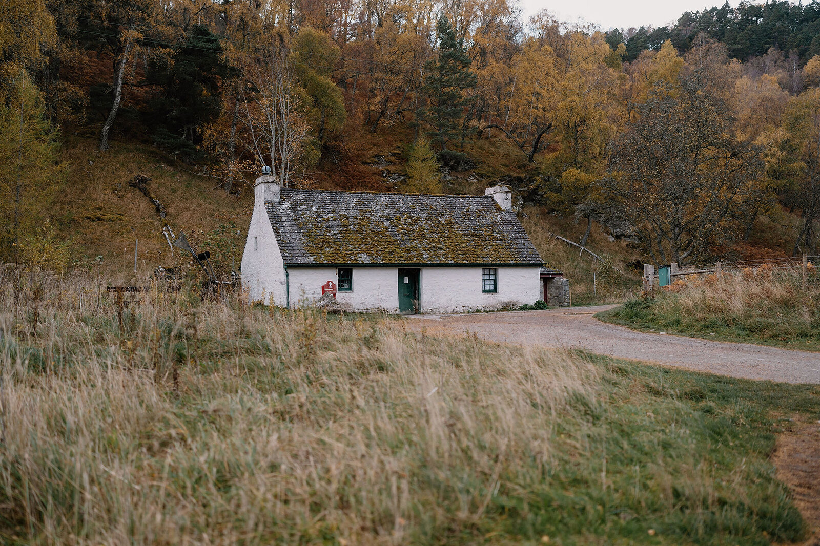 A white cottage with a mossy slate roof and green door stands beside a gravel track, autumn trees rising on the hillside behind.