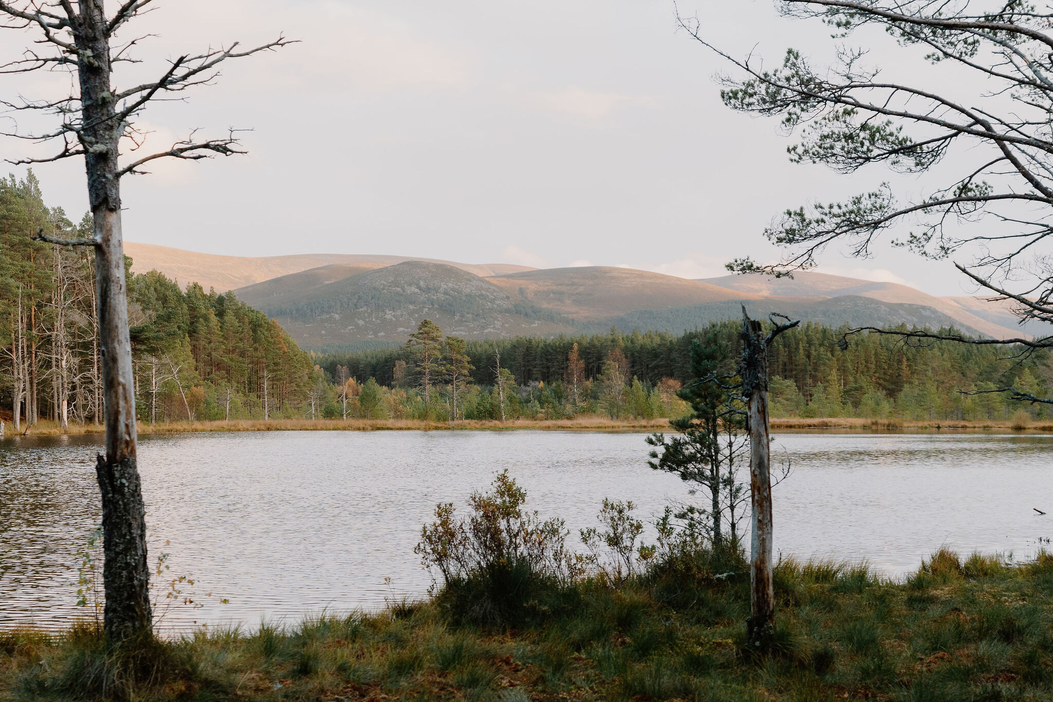 Uath Lochans and Farleitter Crag walk
