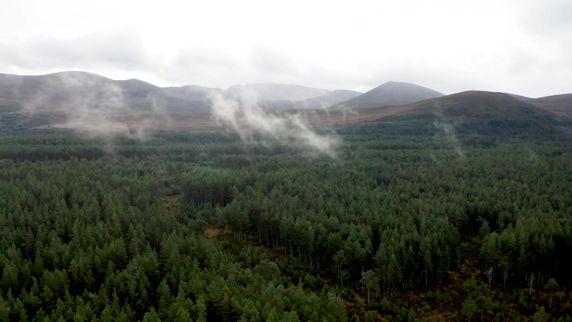 Aerial view of mist rising from a dense pine forest, dark mountain ridges fading into cloud along the horizon.