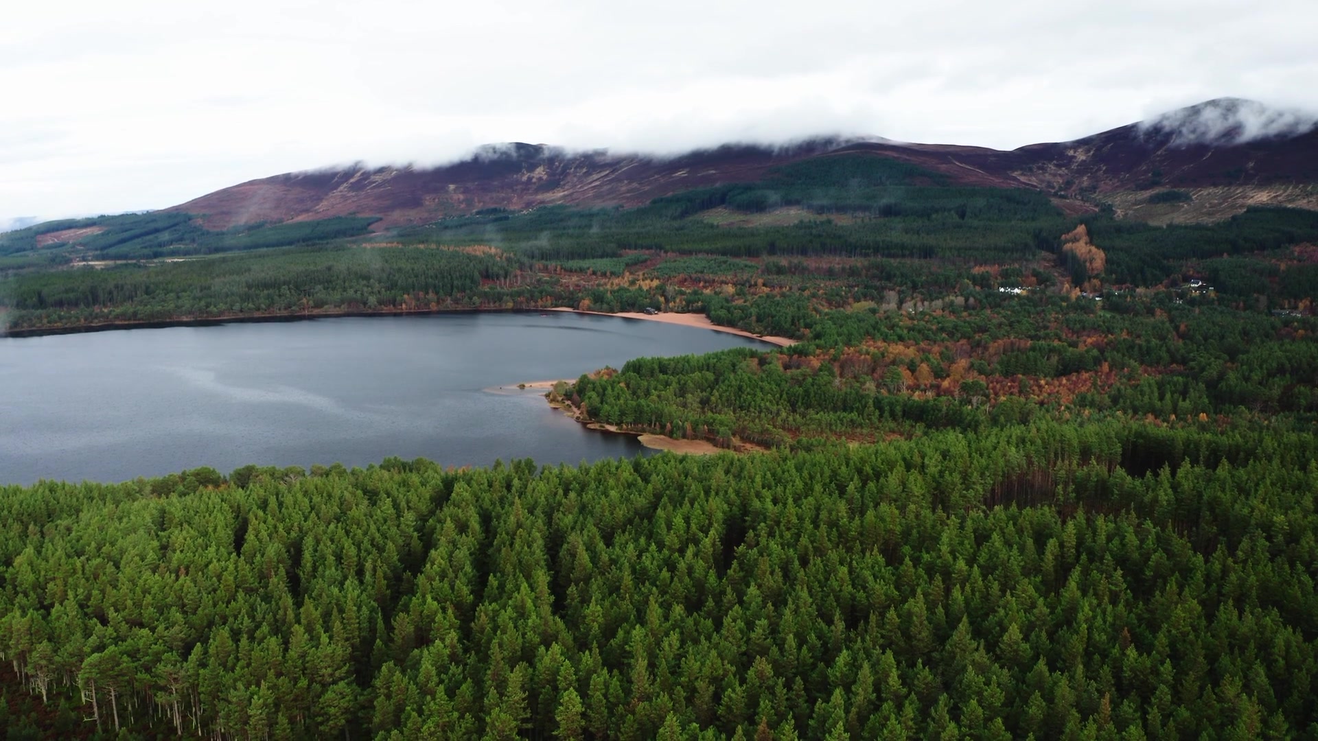 A walk round Loch Morlich and Glenmore's Norwegian memorial