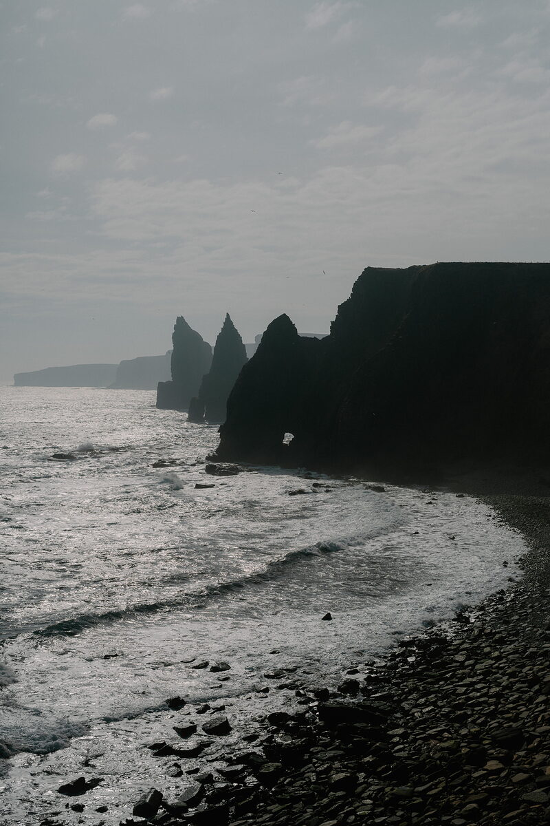 The Tomb of the Eagles and the Orkney Fossil Centre