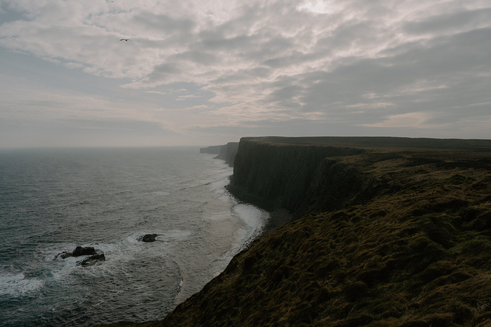 A bird flies over a long line of dark cliffs above a hazy sea, waves washing over rocks at the base.