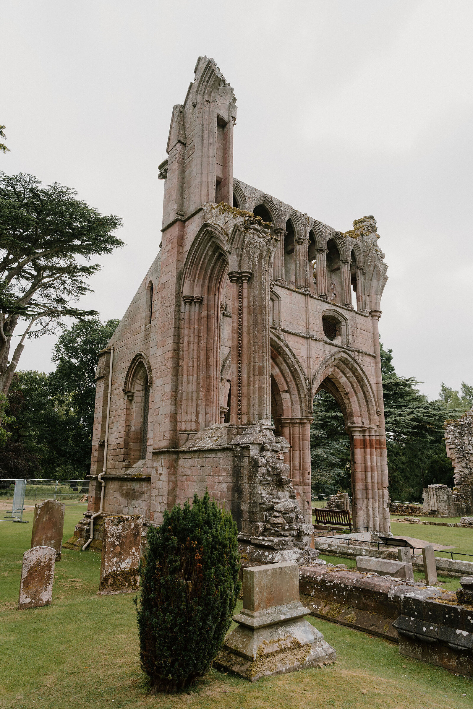 The ruined triangular gable of an abbey rises above headstones and a lawn, gothic arches and traceried windows framed by mature cedar trees.