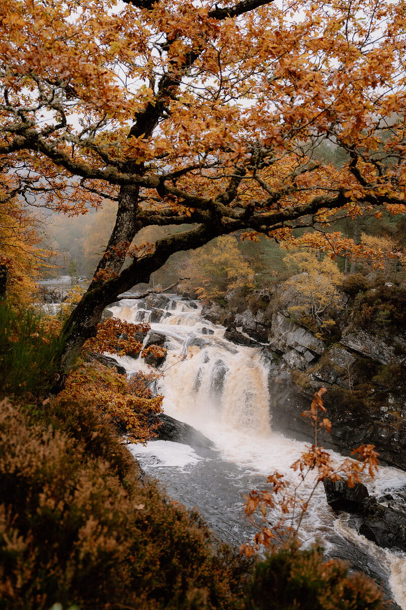 Knockfarrel, the Touchstone Maze and lunch in Strathpeffer
