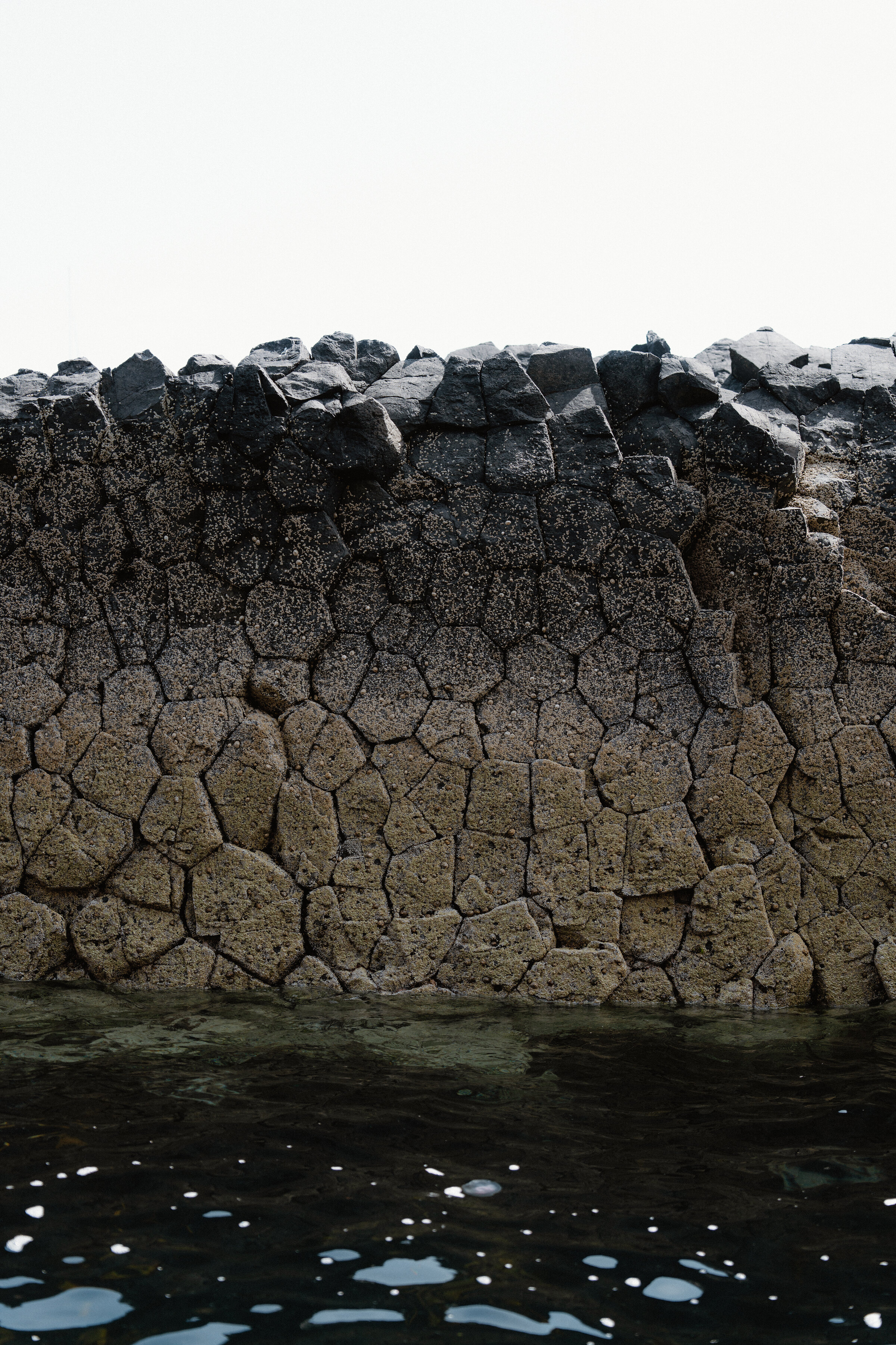 The Treshnish Isles and Staffa by boat