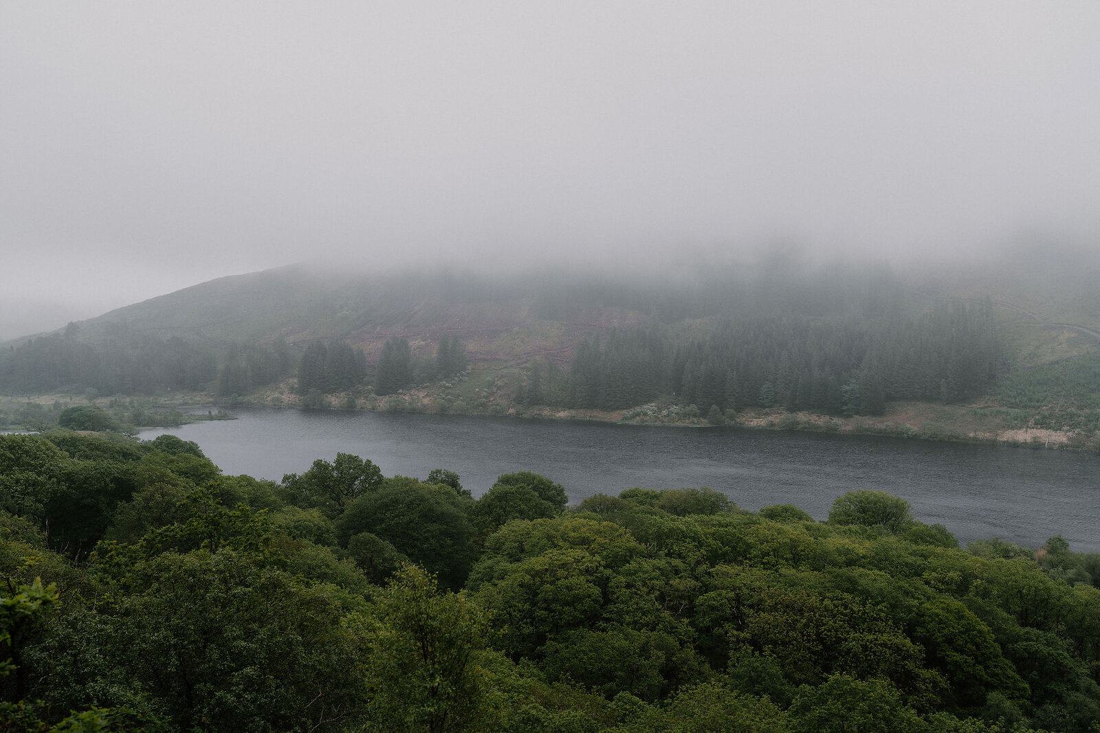 A misty view over a calm loch bordered by dense forest, low cloud obscuring the hills behind.