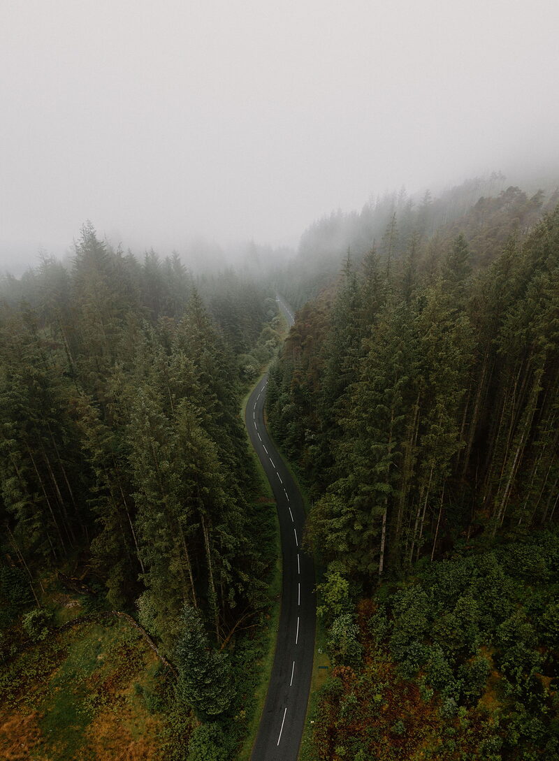 An aerial view looks down a road curving through dense conifer forest, low cloud drifting over the treetops.