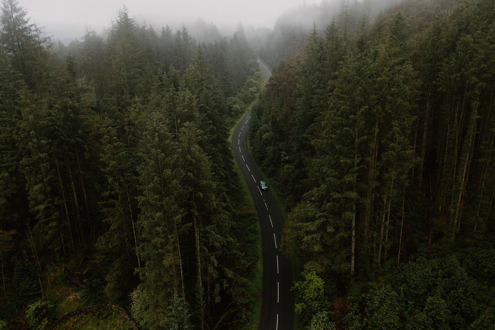 An aerial view looks down a road curving through dense conifer forest, mist drifting between the treetops.