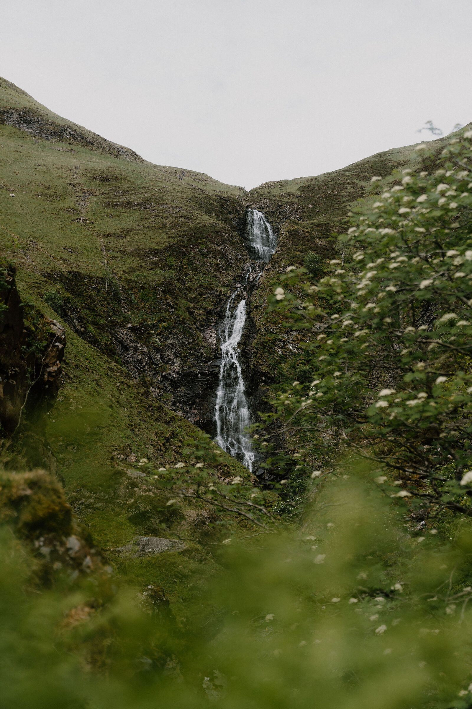 A waterfall drops down a steep green mountainside, white wildflowers framing the view in the foreground.