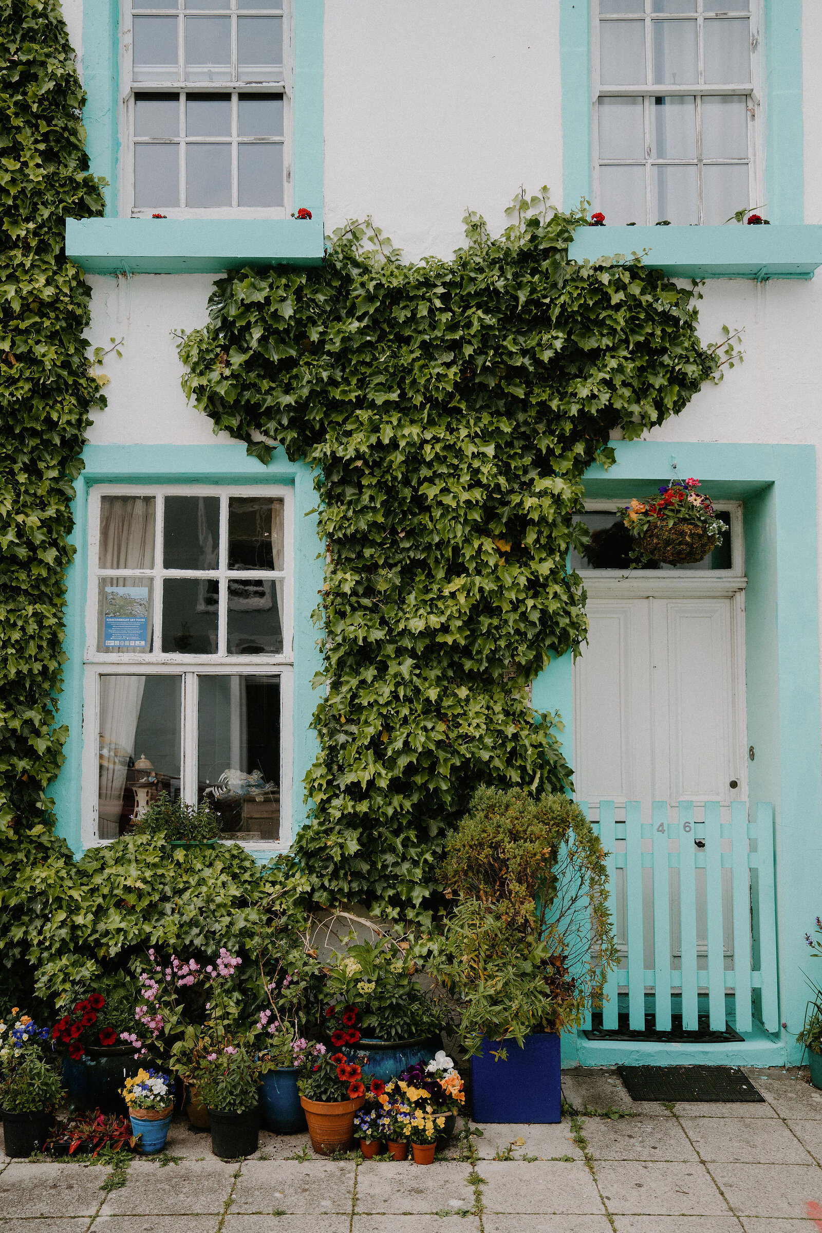 A white cottage with teal-painted window frames is almost covered by climbing ivy trimmed into a rounded shape, potted flowers lining the step below.