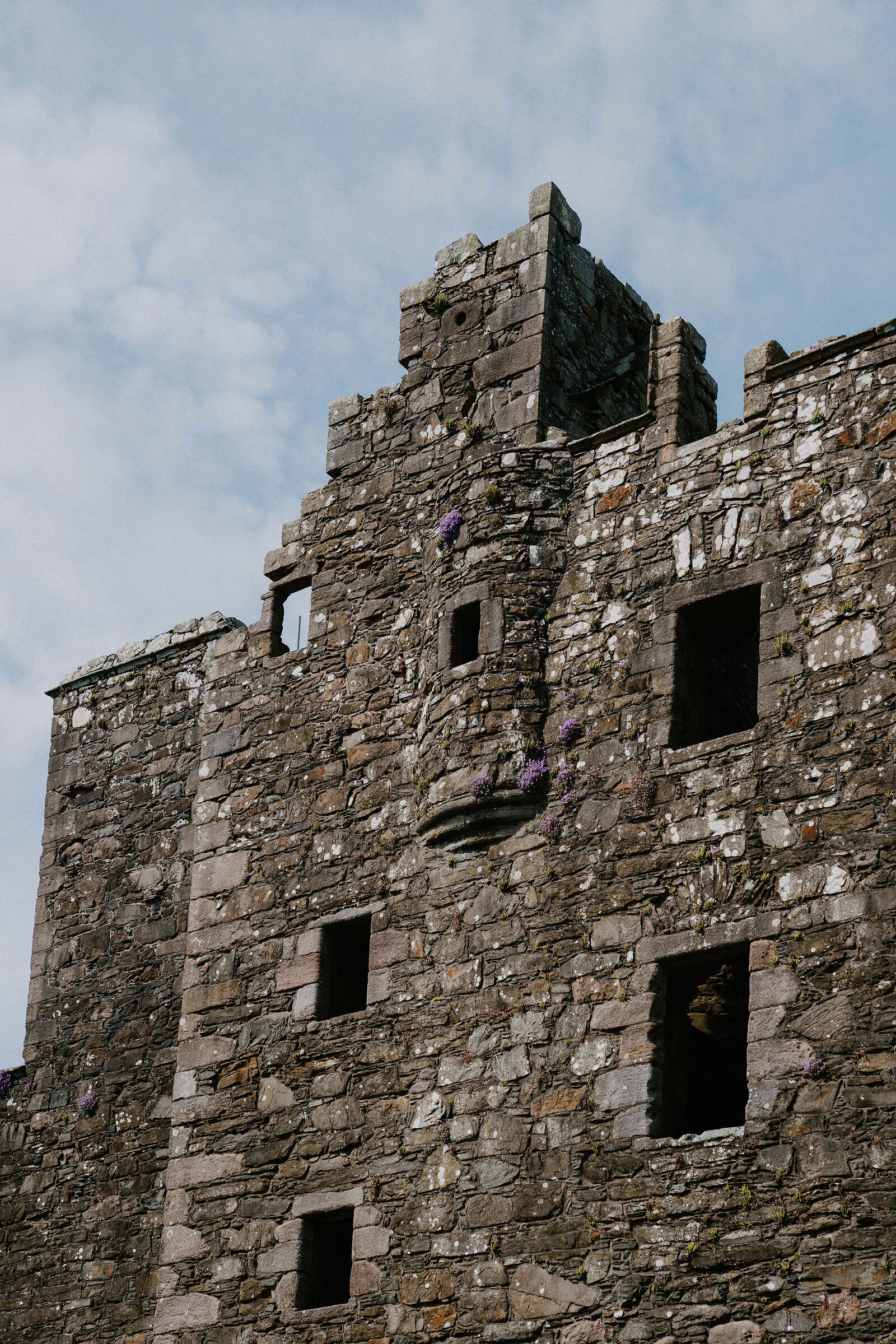 A ruined stone tower with stepped battlements rises against the sky, small purple flowers growing from cracks between the weathered stones.