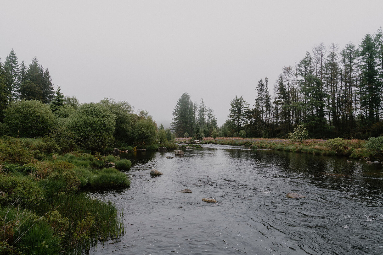 A calm river winds between pine and deciduous trees, rocks breaking the surface and reeds lining the bank.