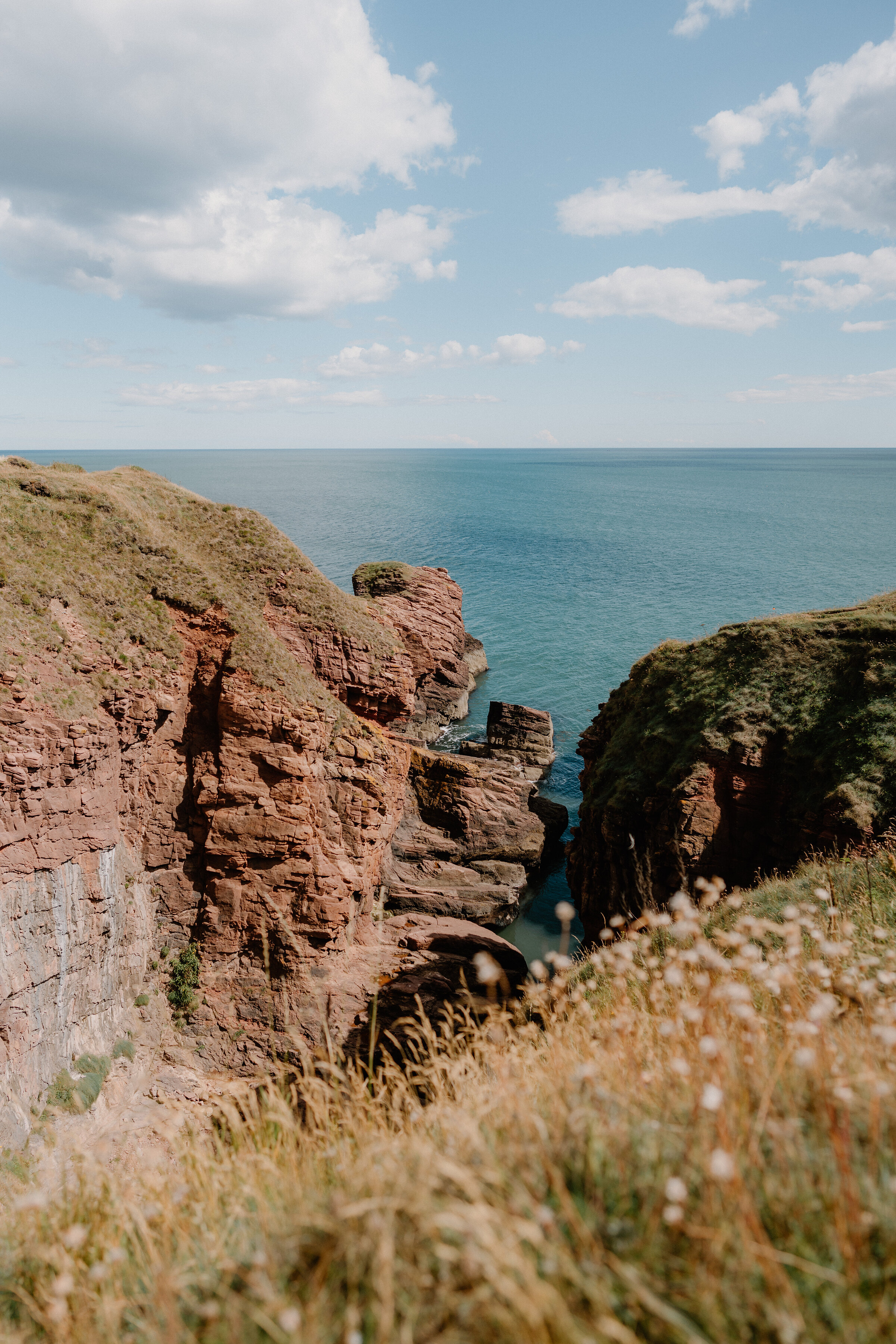 Red sandstone cliffs on the coast path north of Arbroath.