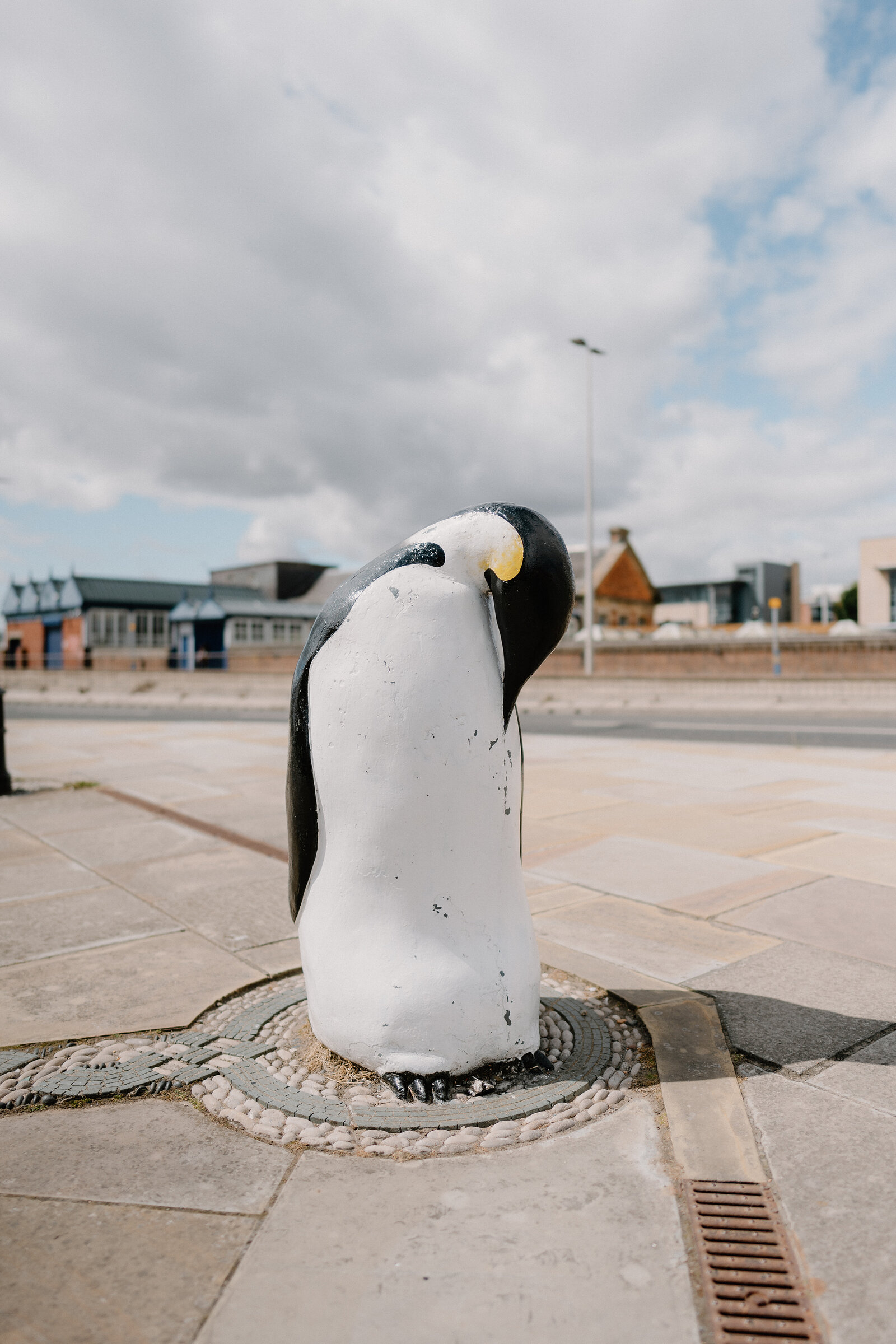 A painted penguin statue with a yellow beak stands on a paved pedestrian crossing, buildings and a lamp post visible behind.