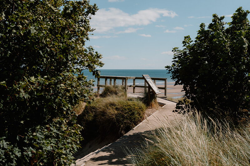 A wooden boardwalk winds between shrubs towards a sandy beach and calm sea.