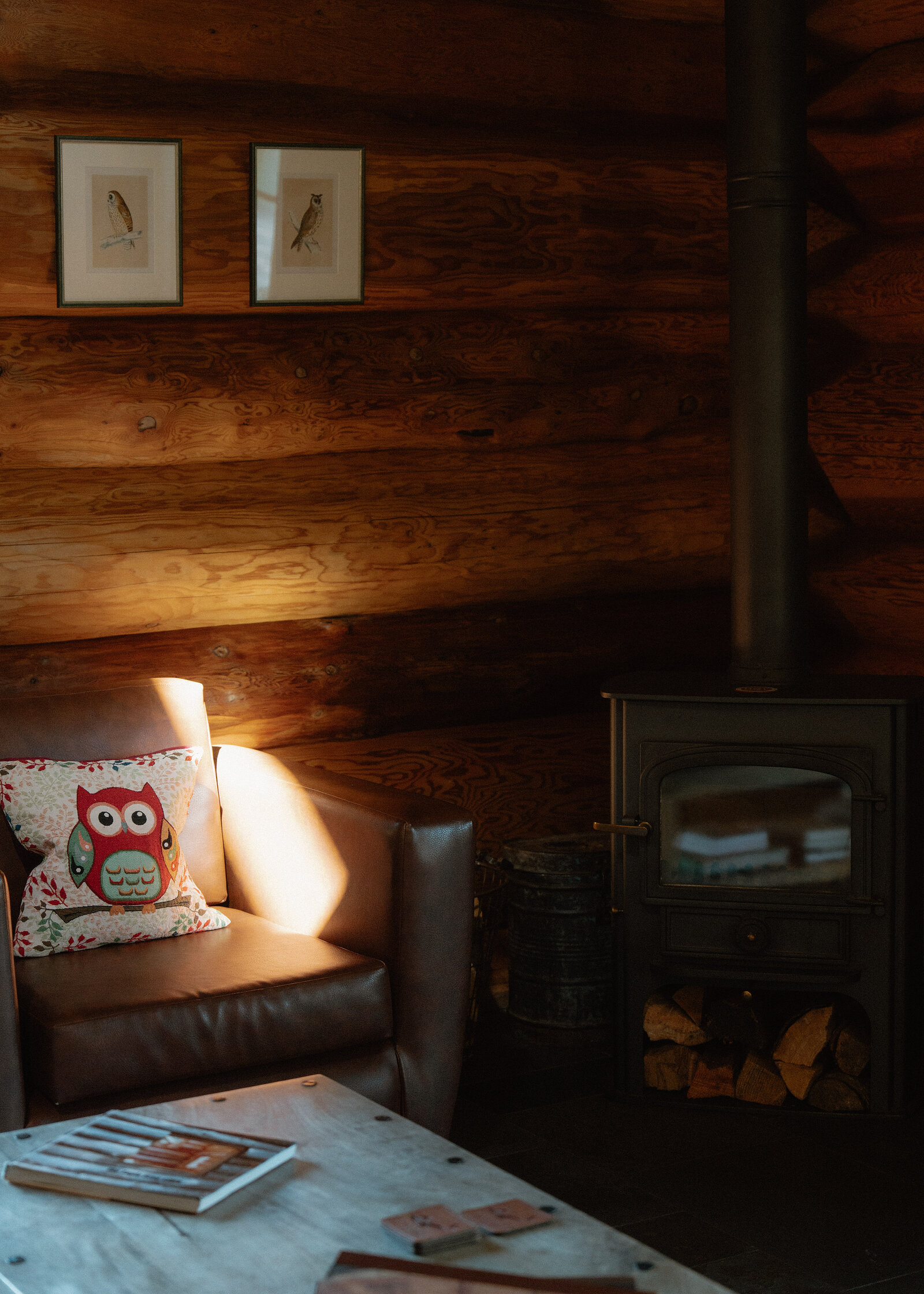A brown leather armchair with an owl-print cushion sits beside a black wood-burning stove stacked with logs, two framed bird prints on the log wall above and magazines on a low table in front.