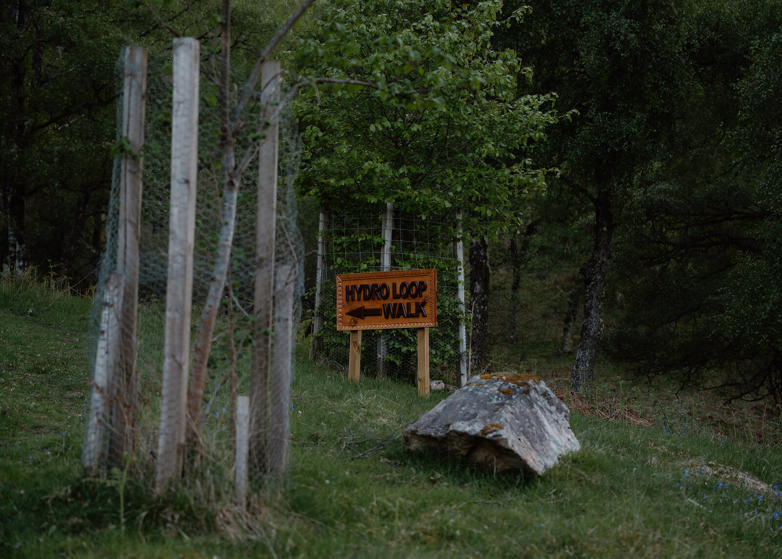 A wooden sign reading Hydro Loop Walk points along a fenced path through dense forest, a large boulder resting on the grass beside it.