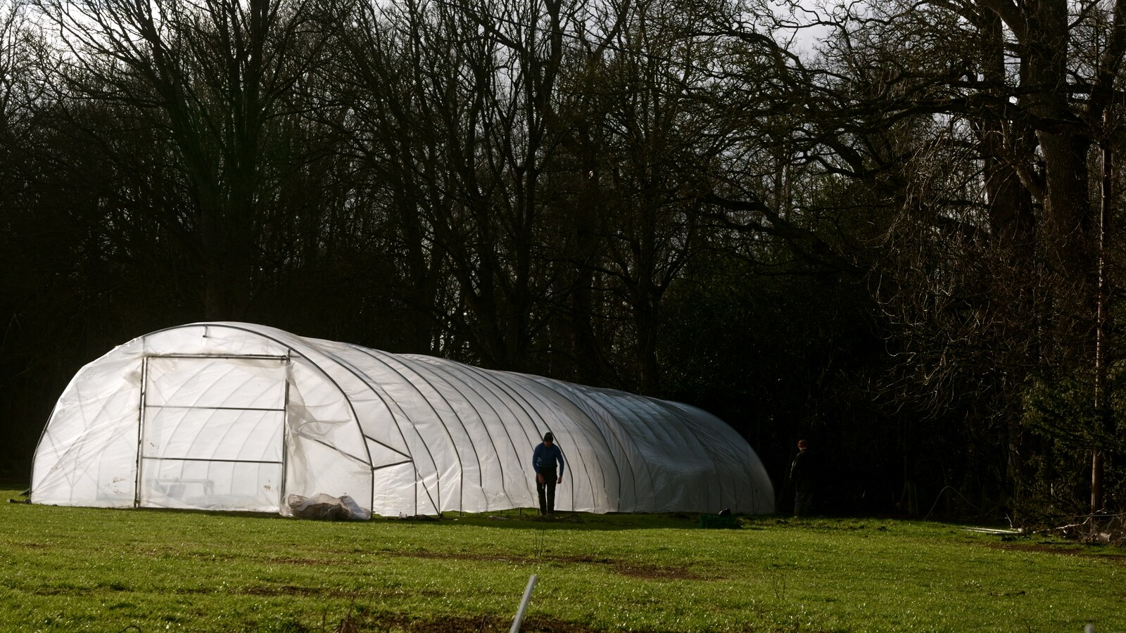 A long white polytunnel on the grass at the edge of a dark wood, a figure walking towards it, at the Cardinal Kitchen Garden in Pathhead.