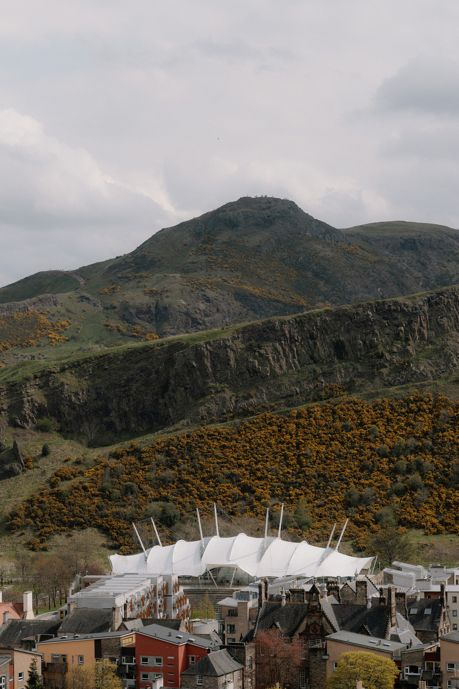 Arthur's Seat rising above the tented roof of Dynamic Earth and Edinburgh's rooftops, gorse blooming on the slopes