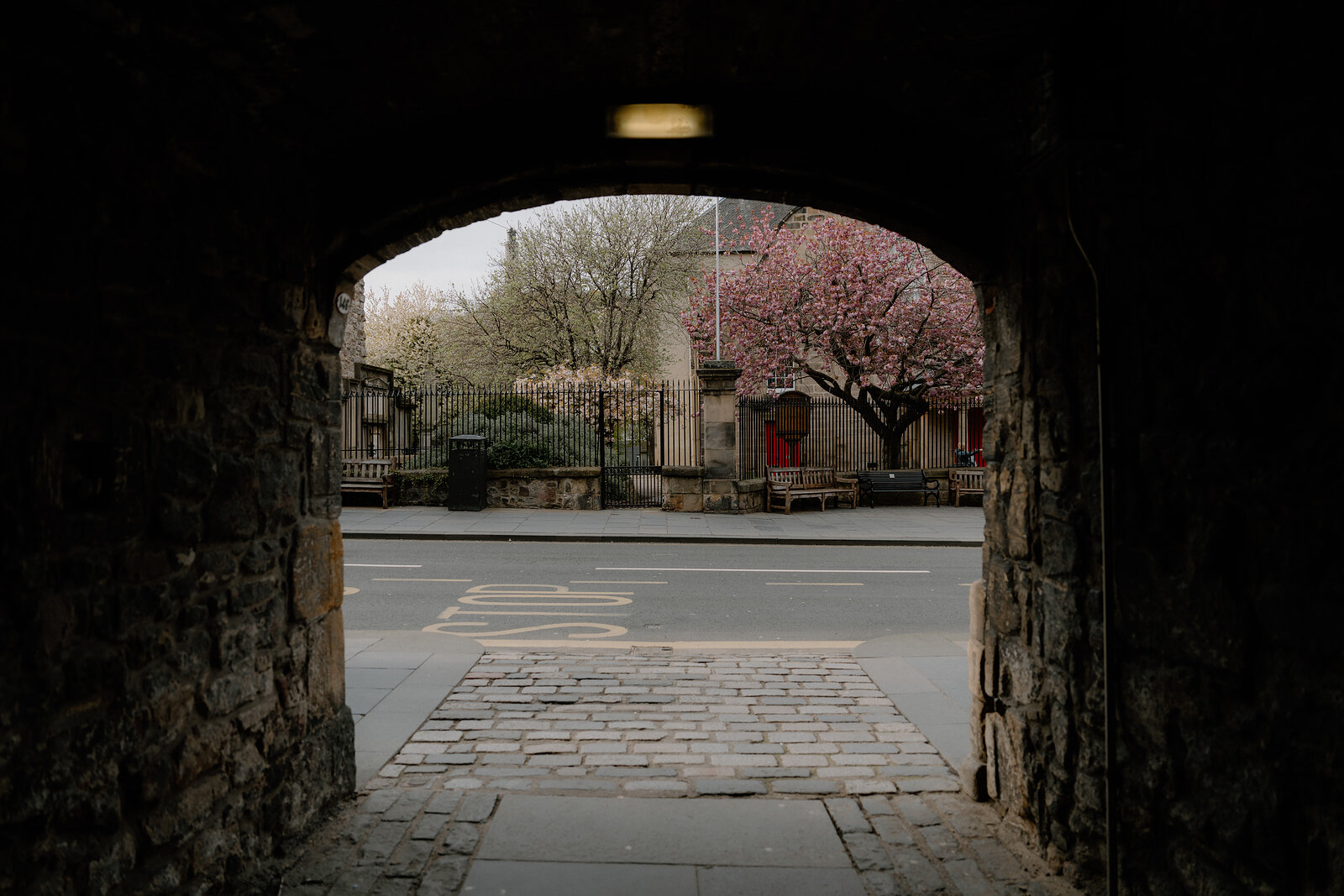 A stone archway in Edinburgh framing a blossoming tree and a red door across the street.