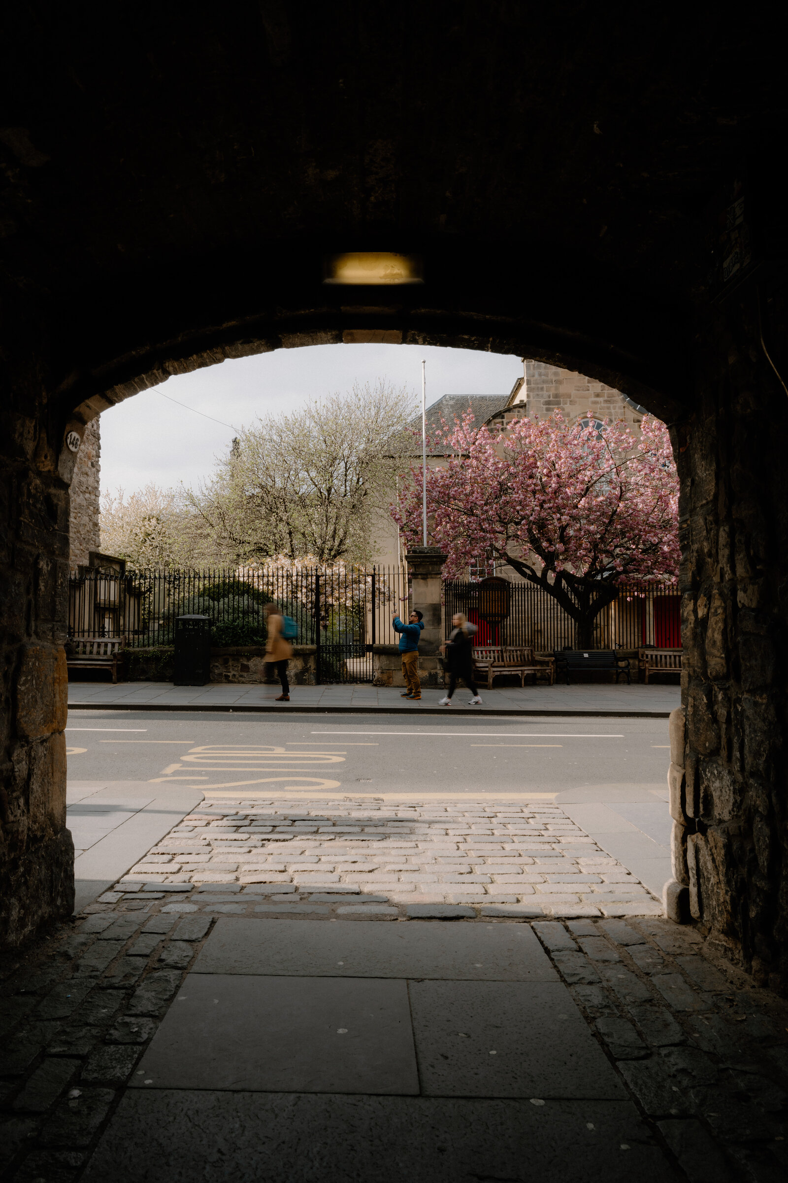 Pedestrians crossing the street beyond a stone archway in Edinburgh, a blossoming tree in full bloom opposite.