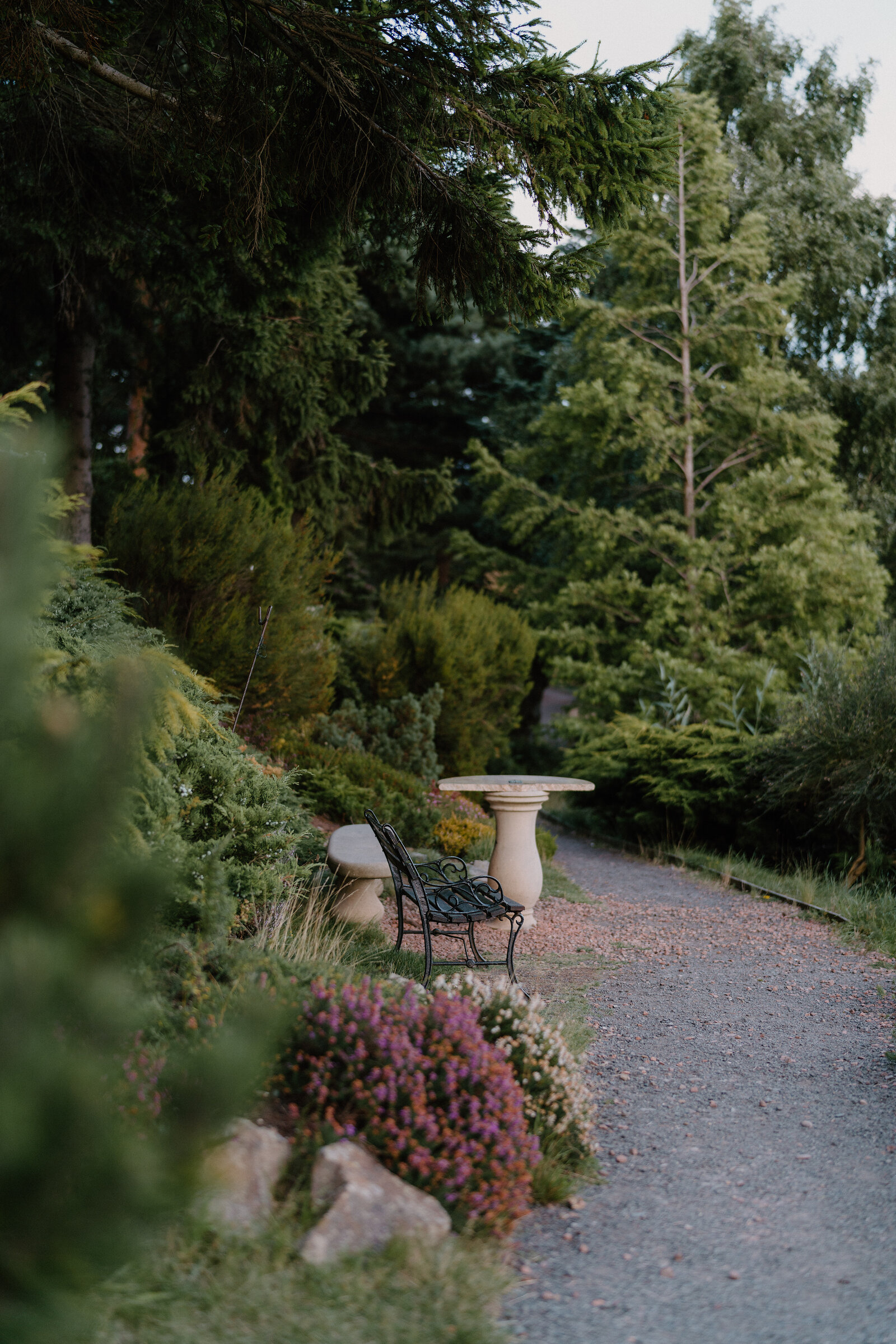 Heather blooms beside a stone table and bench along a garden path.