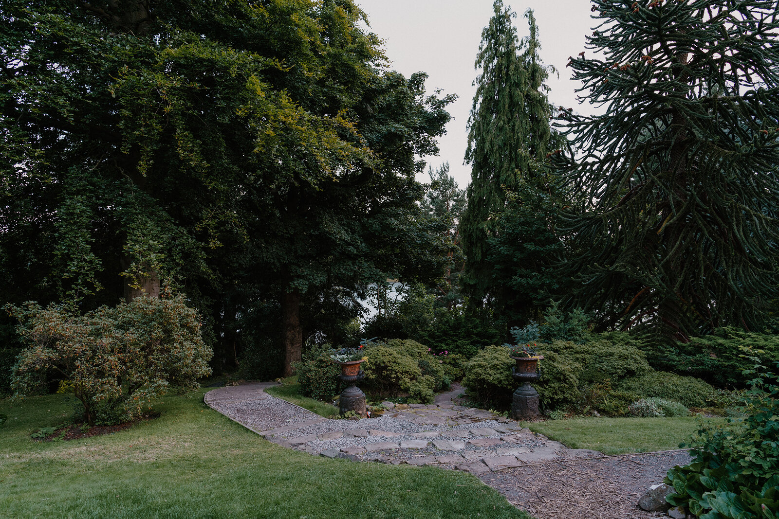 A gravel path winds past terracotta urns beneath tall conifers in a garden.