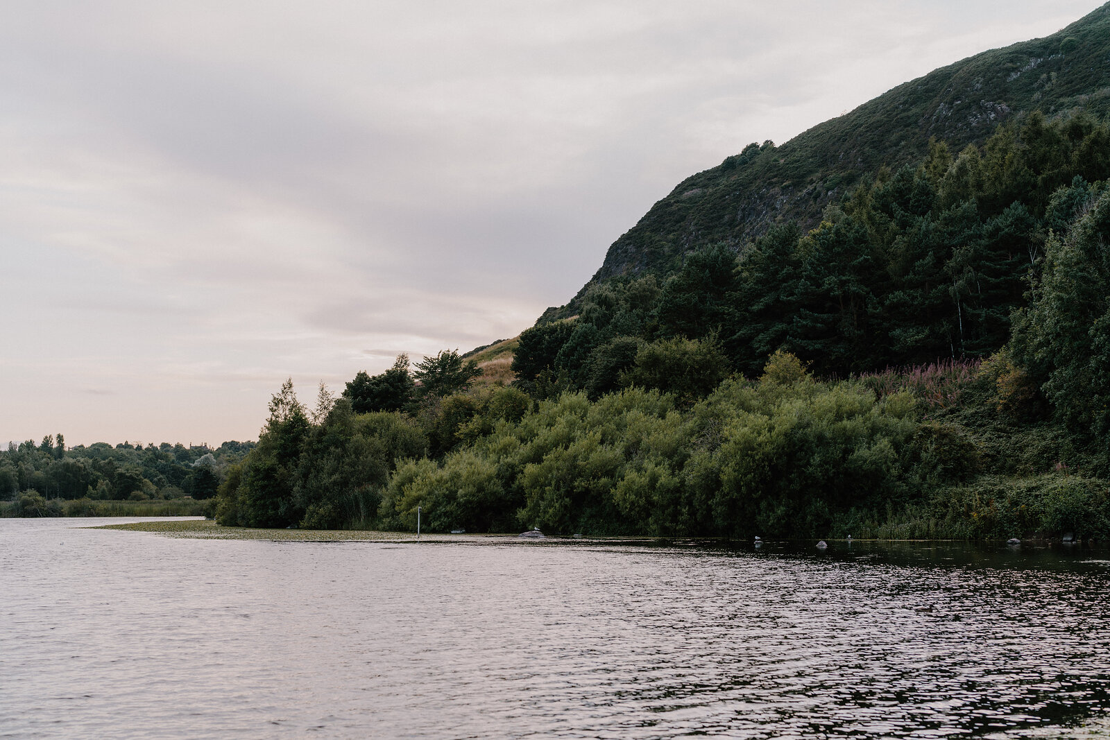 A wooded hillside rises above the still waters of a loch.