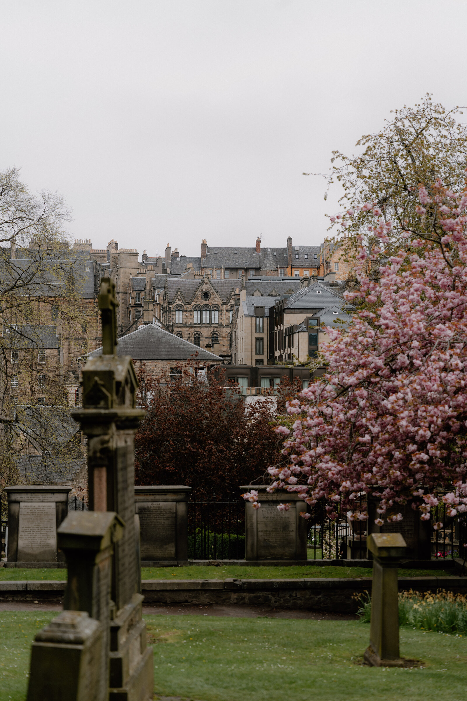 Blossoming cherry trees frame old gravestones at Greyfriars Kirkyard, the Old Town skyline behind.