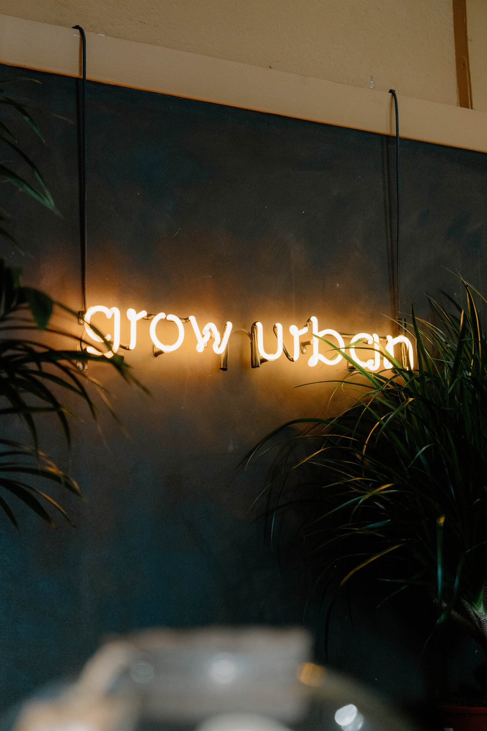 A neon sign reading 'grow urban' glows on a dark wall between hanging plants.
