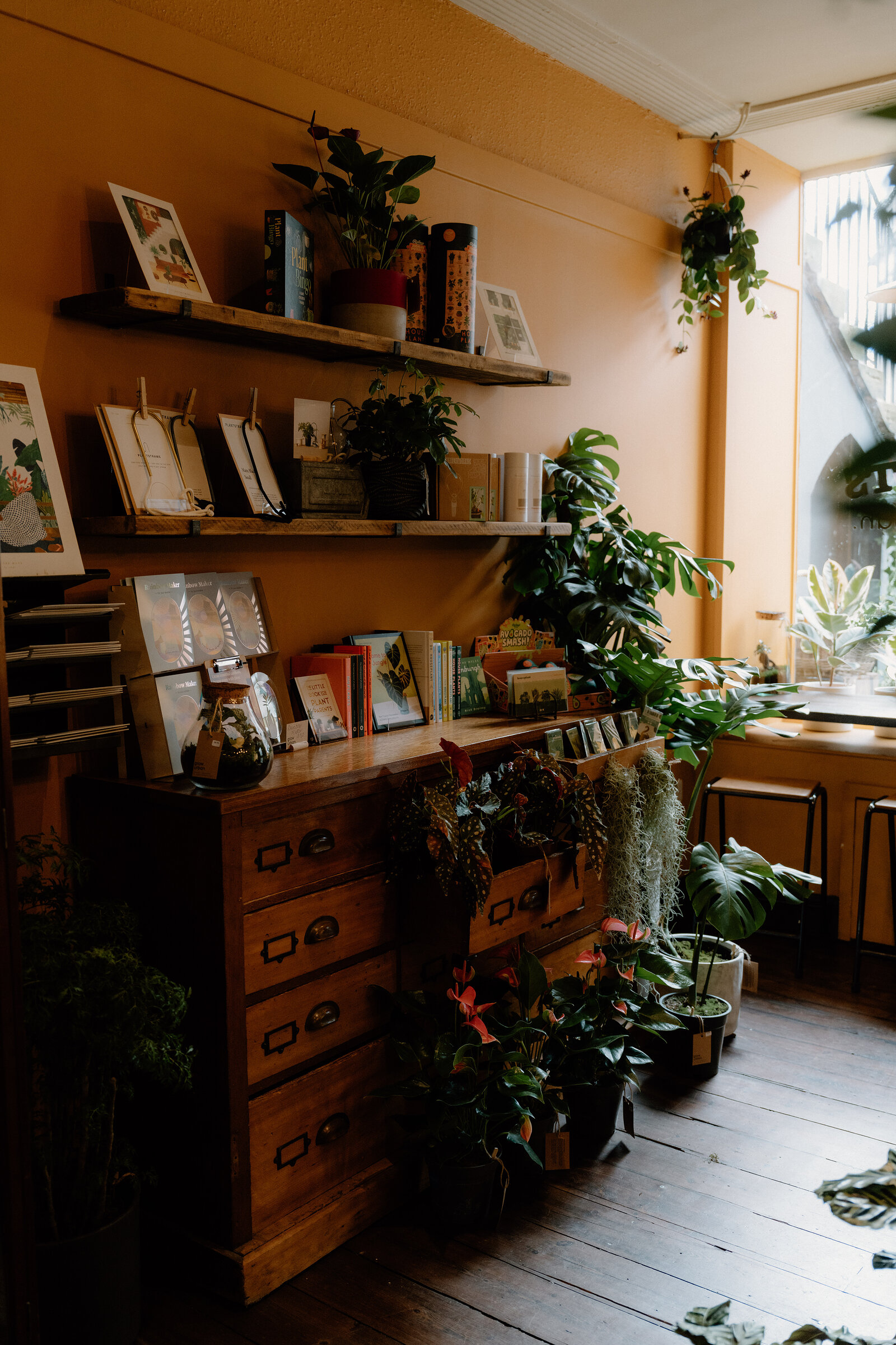 Orange walls hold shelves of framed prints and plants above an antique chest of drawers at grow urban.