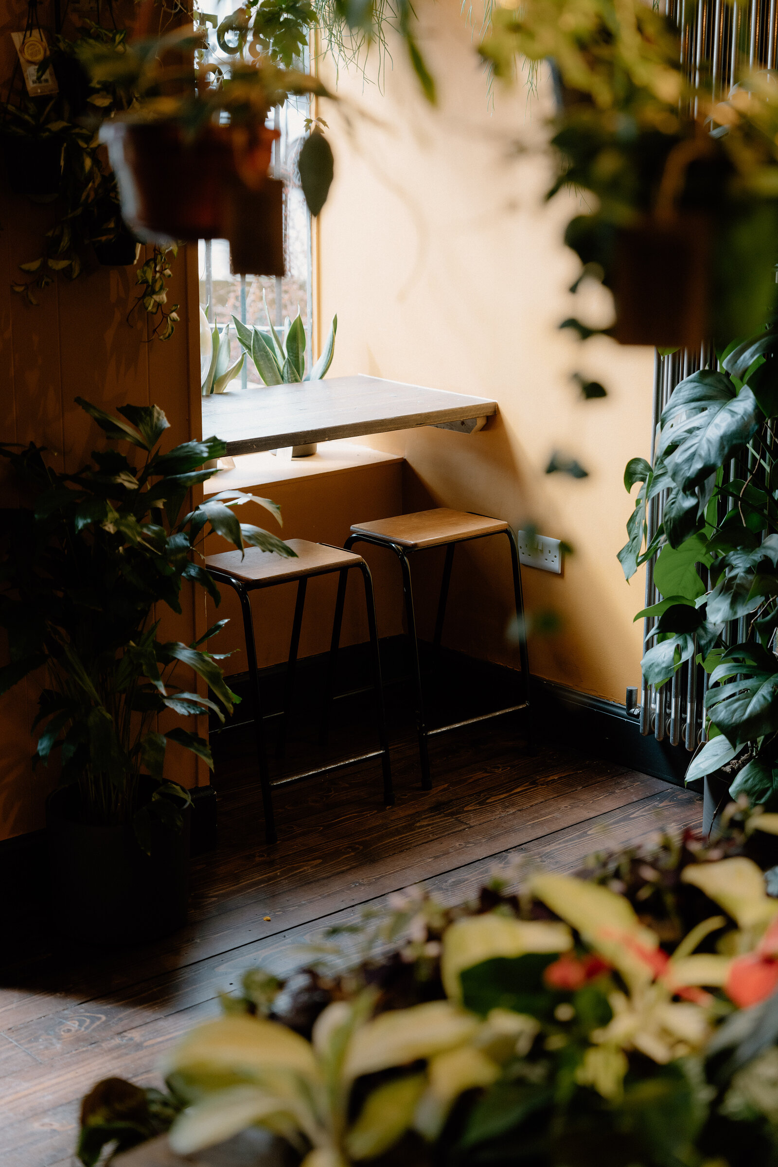 A small table and stools sit in a window nook framed by hanging and potted plants at grow urban.