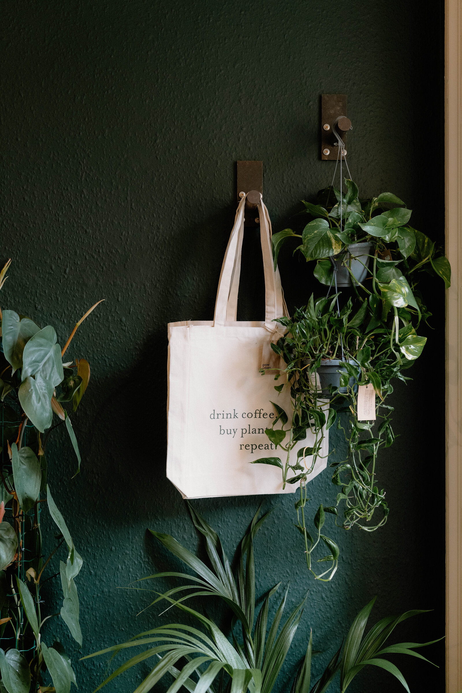 A canvas tote reading 'drink coffee, buy plants, repeat' hangs on a hook beside trailing plants at grow urban.